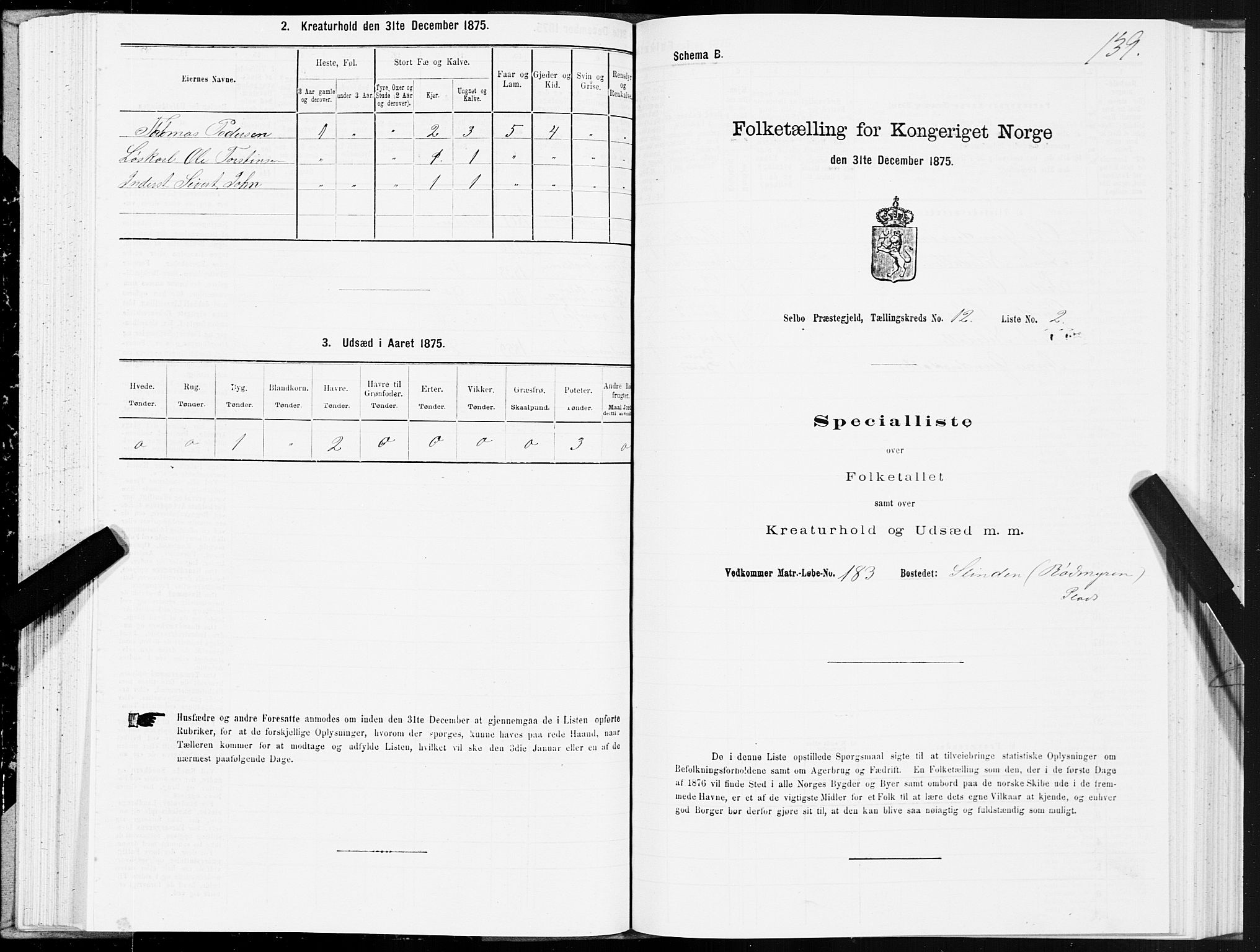 SAT, Folketelling 1875 for 1664P Selbu prestegjeld, 1875, s. 6139