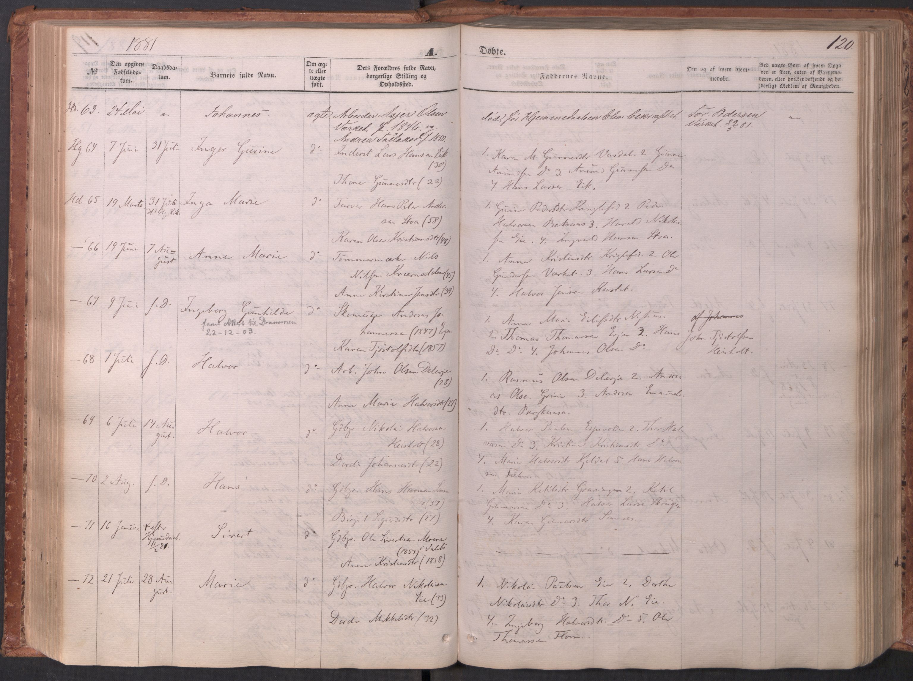Holla kirkebøker, AV/SAKO-A-272/F/Fa/L0007: Ministerialbok nr. 7, 1869-1881
