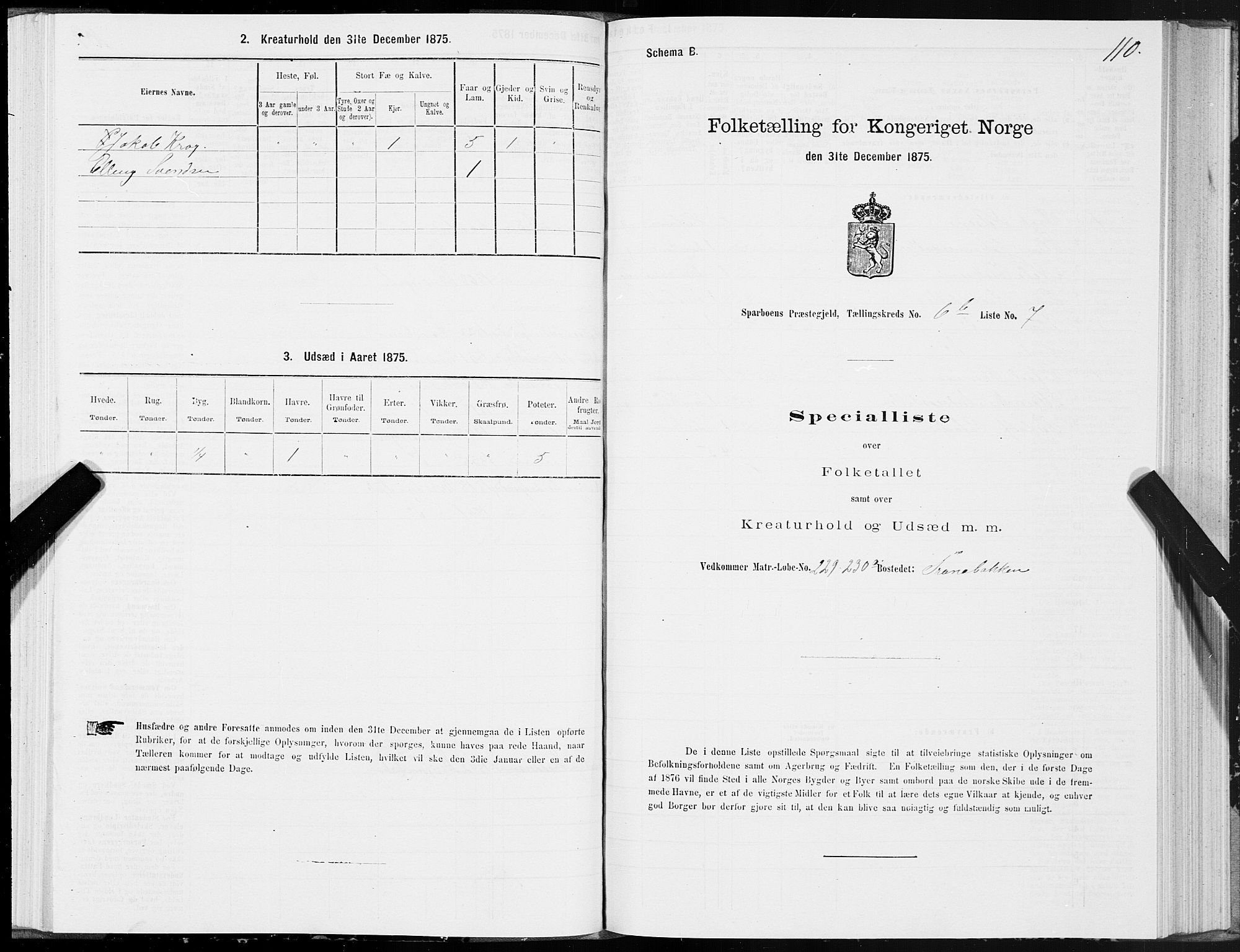 SAT, Folketelling 1875 for 1731P Sparbu prestegjeld, 1875, s. 3110