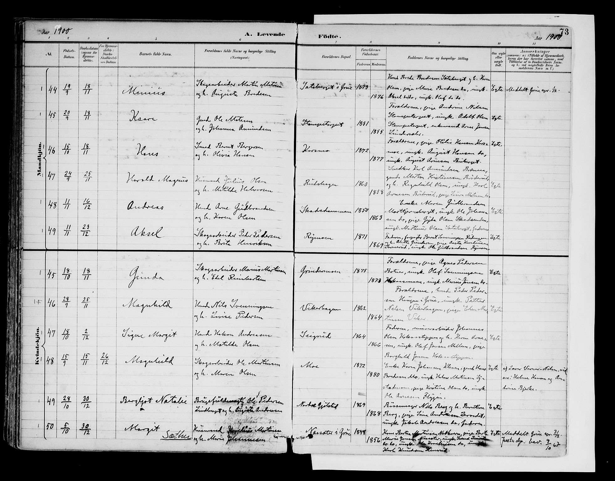 Brandval prestekontor, AV/SAH-PREST-034/H/Ha/Haa/L0003: Ministerialbok nr. 3, 1894-1909, s. 73