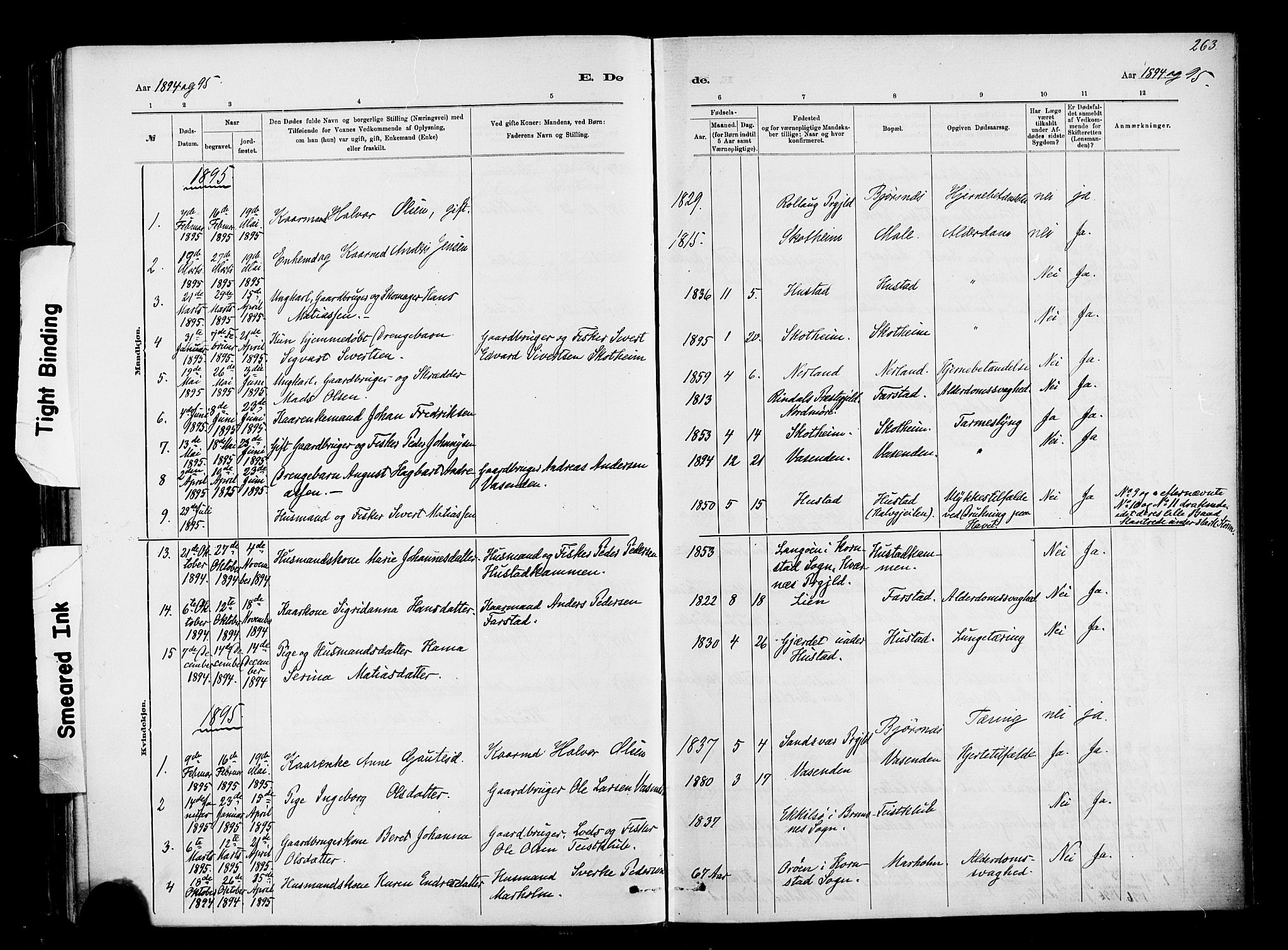 Ministerialprotokoller, klokkerbøker og fødselsregistre - Møre og Romsdal, AV/SAT-A-1454/567/L0778: Ministerialbok nr. 567A01, 1881-1903, s. 263