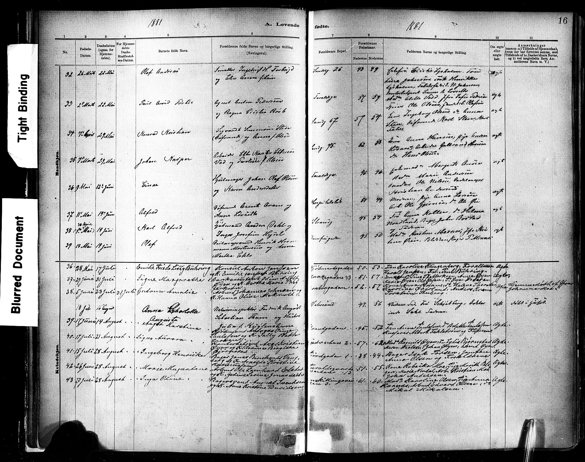 Ministerialprotokoller, klokkerbøker og fødselsregistre - Sør-Trøndelag, SAT/A-1456/602/L0119: Ministerialbok nr. 602A17, 1880-1901, s. 16