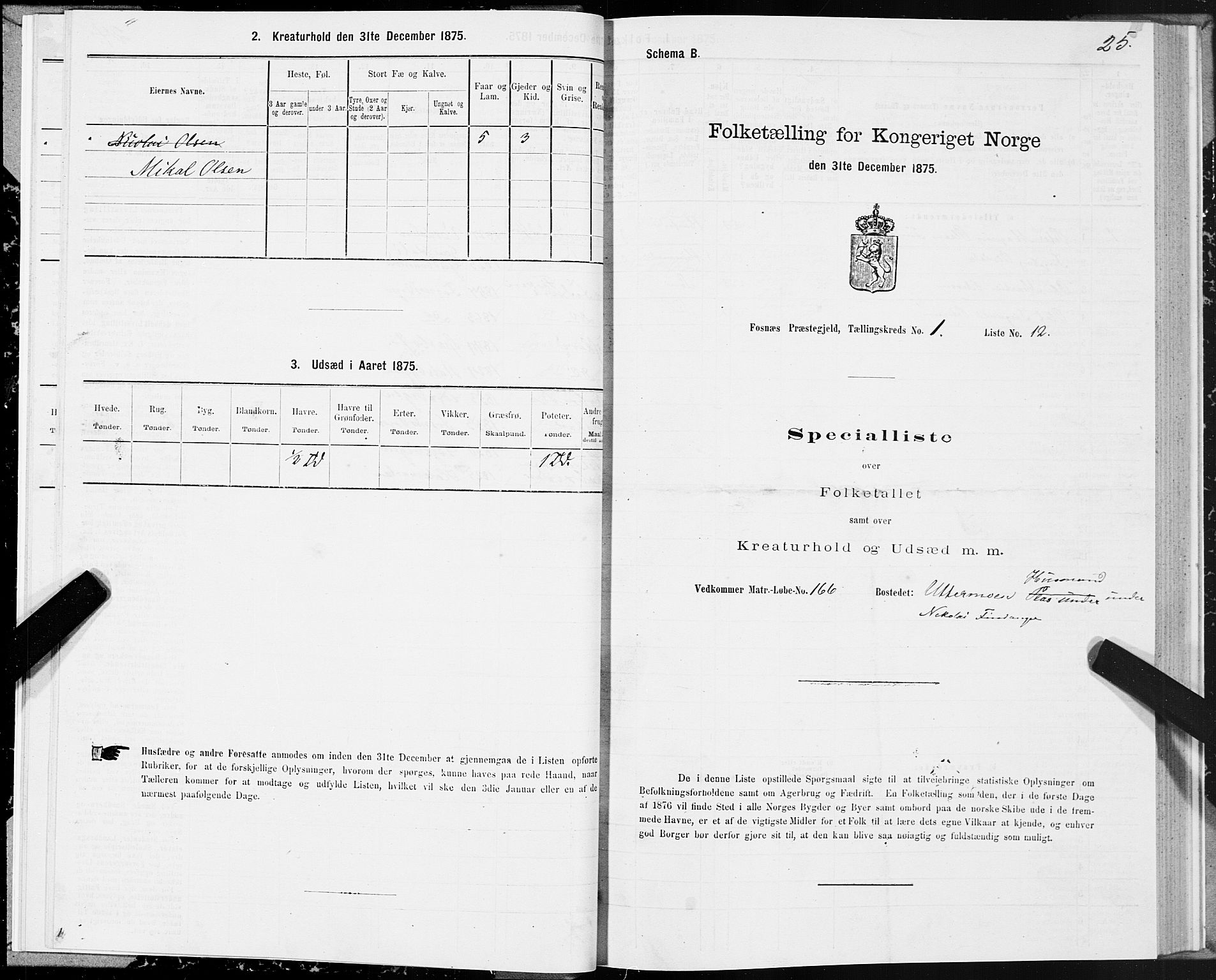 SAT, Folketelling 1875 for 1748P Fosnes prestegjeld, 1875, s. 1025