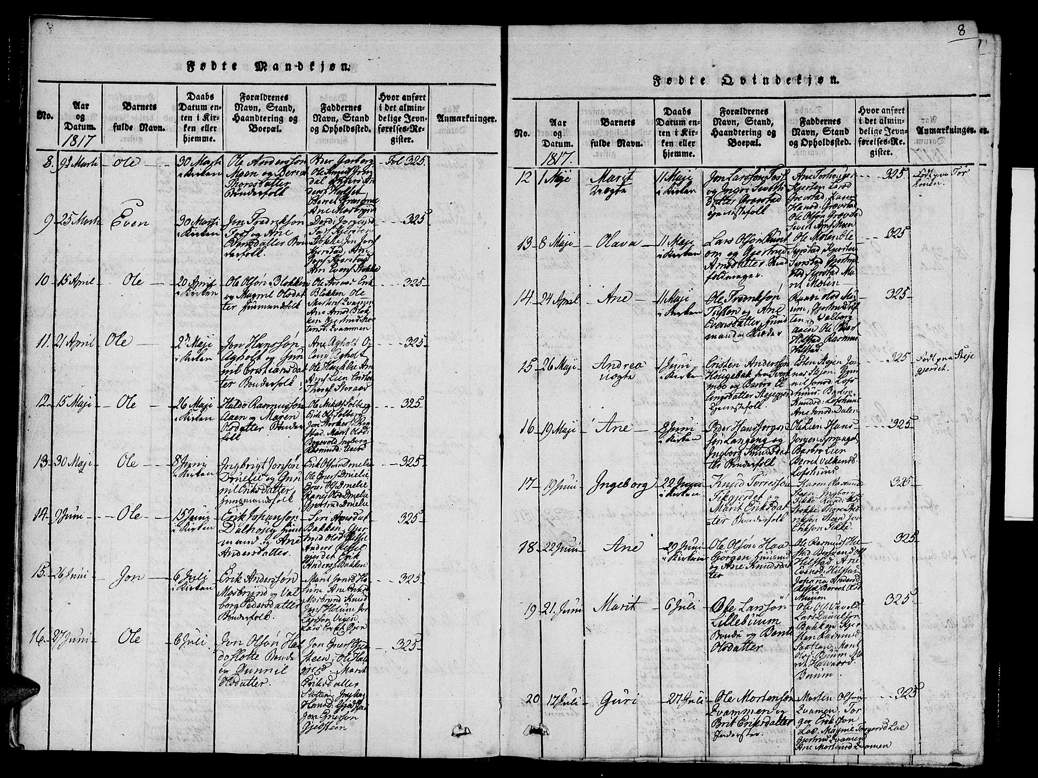 Ministerialprotokoller, klokkerbøker og fødselsregistre - Sør-Trøndelag, SAT/A-1456/672/L0853: Ministerialbok nr. 672A06 /1, 1816-1829, s. 8