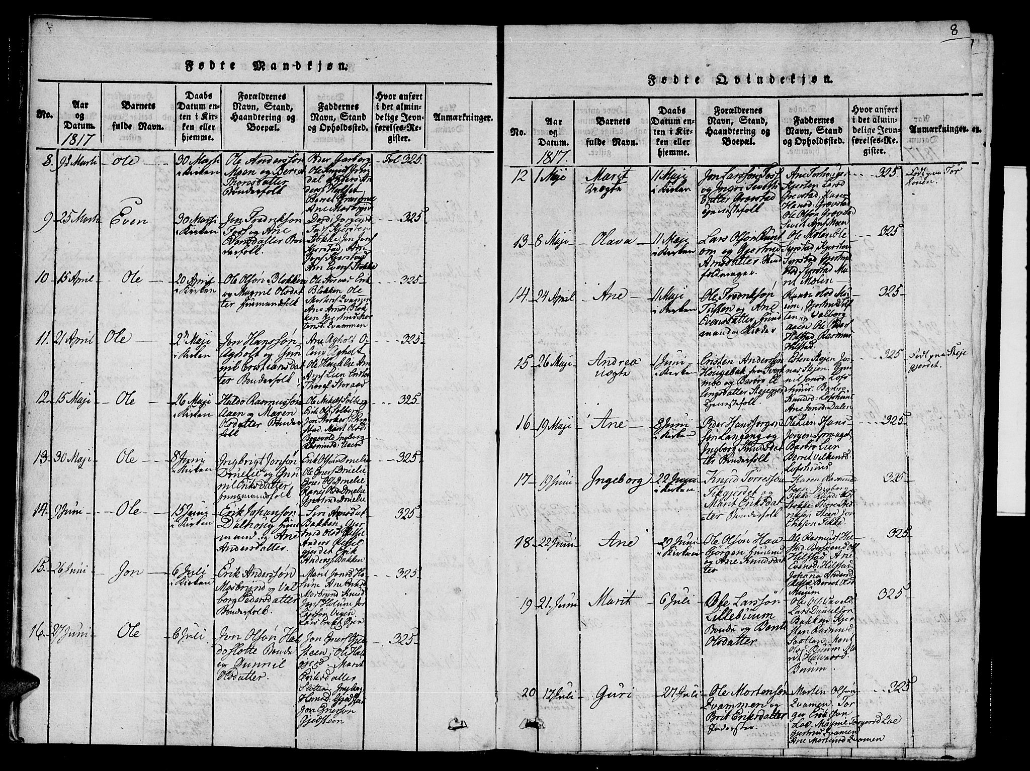 Ministerialprotokoller, klokkerbøker og fødselsregistre - Sør-Trøndelag, AV/SAT-A-1456/672/L0853: Ministerialbok nr. 672A06 /1, 1816-1829, s. 8