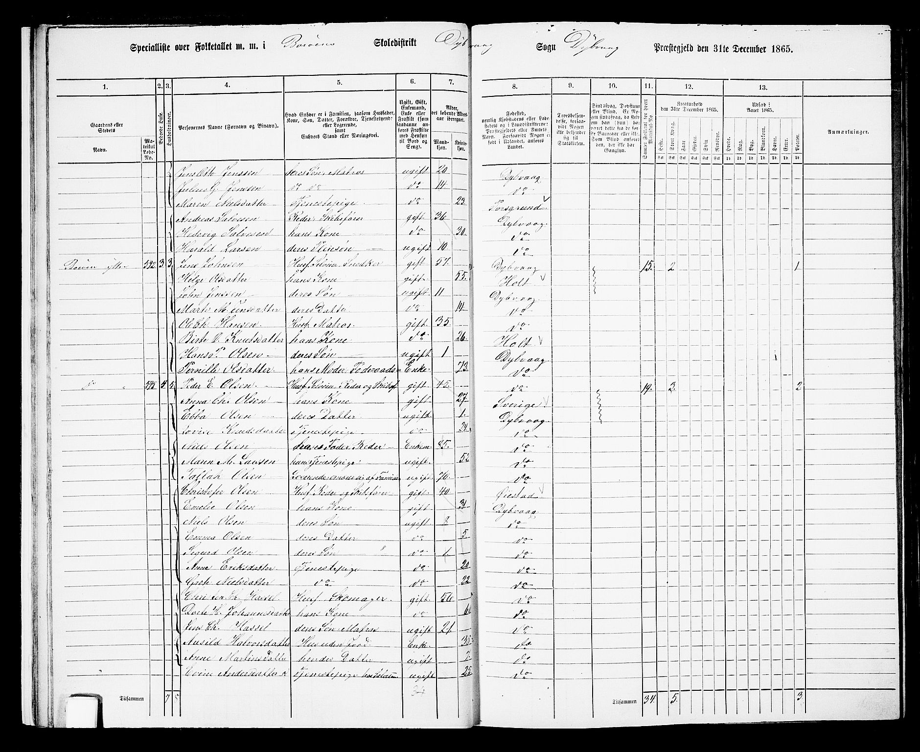 RA, Folketelling 1865 for 0915P Dypvåg prestegjeld, 1865, s. 17