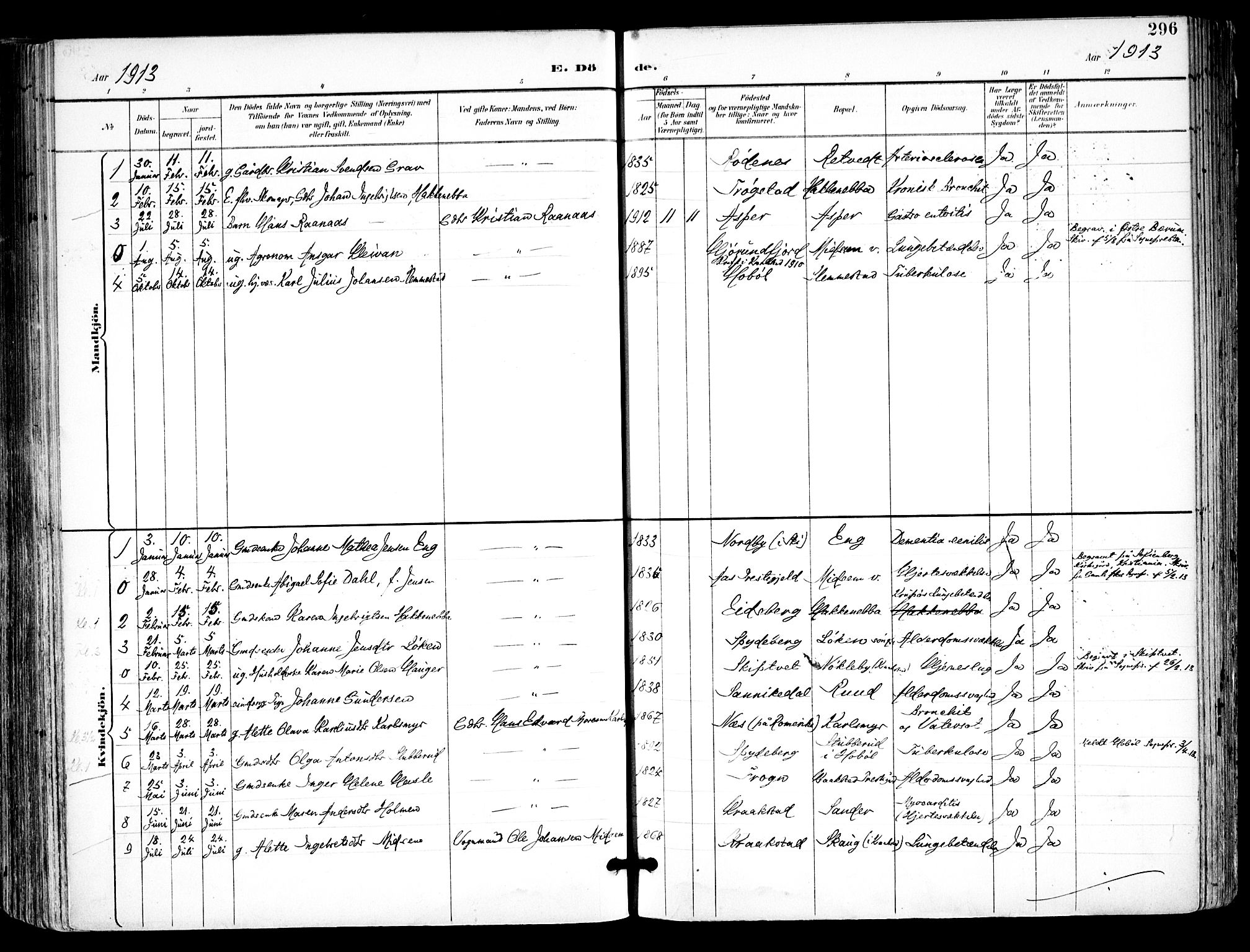 Kråkstad prestekontor Kirkebøker, AV/SAO-A-10125a/F/Fa/L0010: Ministerialbok nr. I 10, 1893-1931, s. 296