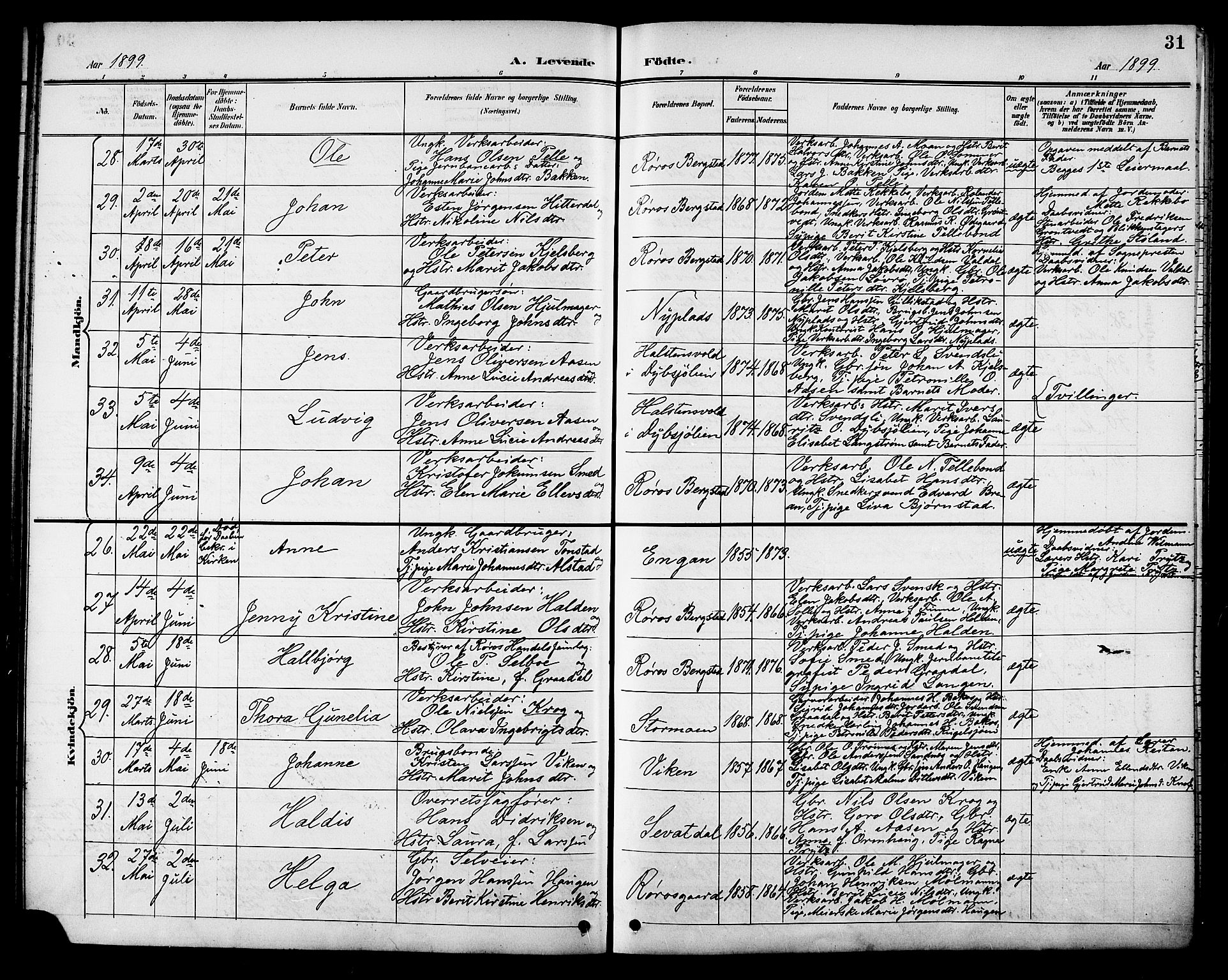 Ministerialprotokoller, klokkerbøker og fødselsregistre - Sør-Trøndelag, AV/SAT-A-1456/681/L0941: Klokkerbok nr. 681C05, 1896-1905, s. 31