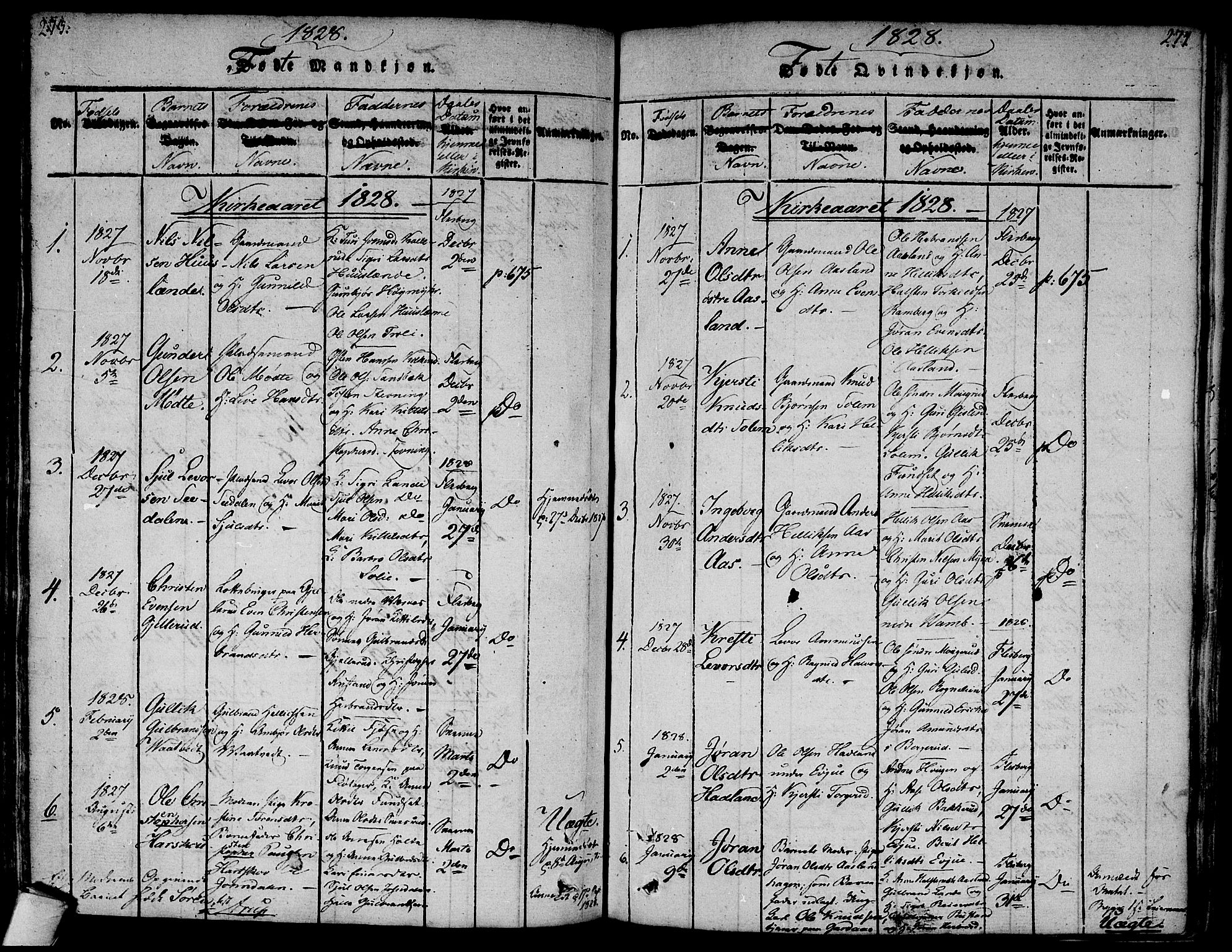 Flesberg kirkebøker, AV/SAKO-A-18/F/Fa/L0005: Ministerialbok nr. I 5, 1816-1834, s. 273-274