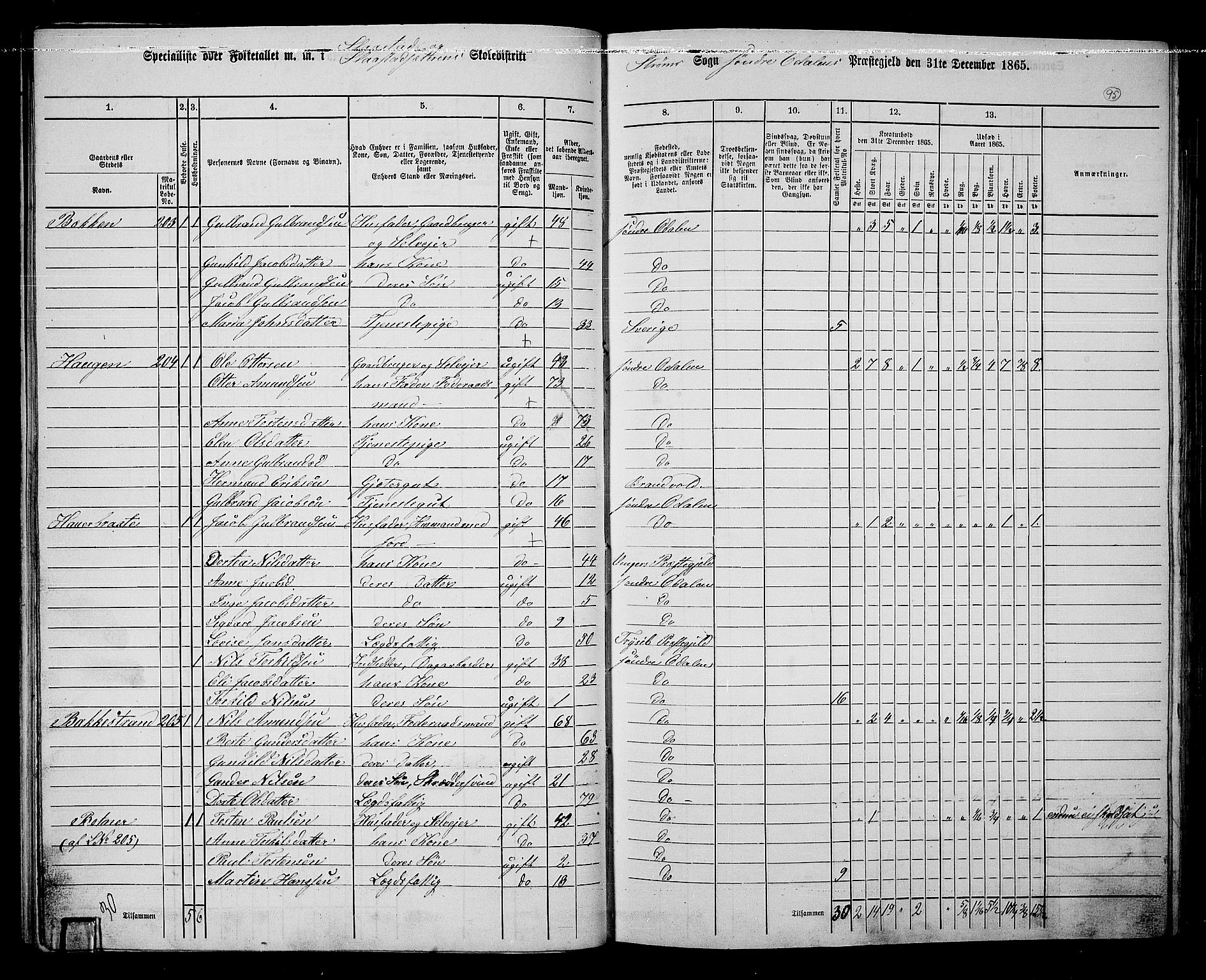 RA, Folketelling 1865 for 0419P Sør-Odal prestegjeld, 1865, s. 85