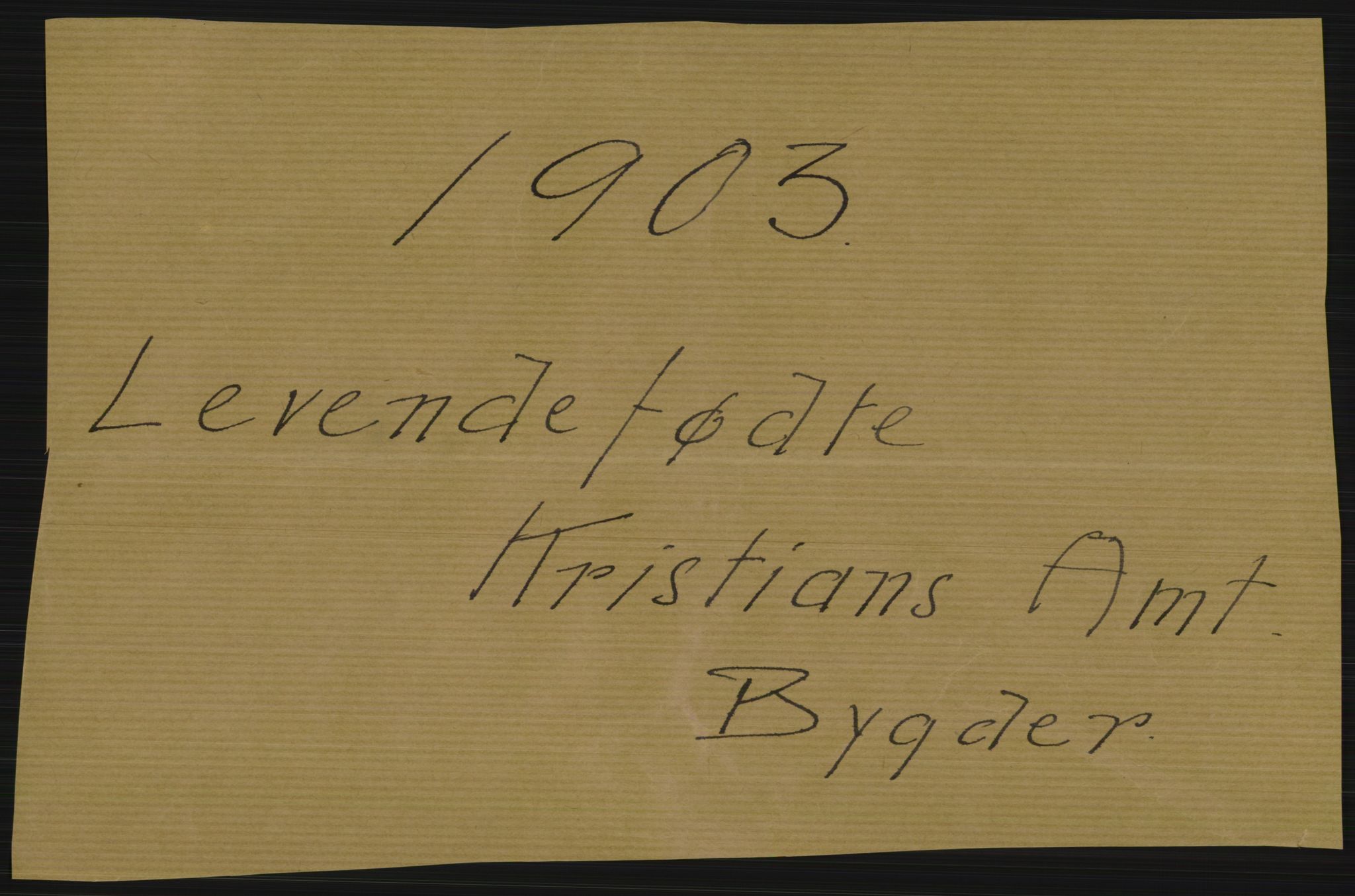 Statistisk sentralbyrå, Sosiodemografiske emner, Befolkning, AV/RA-S-2228/D/Df/Dfa/Dfaa/L0006: Kristians amt: Fødte, gifte, døde, 1903, s. 1