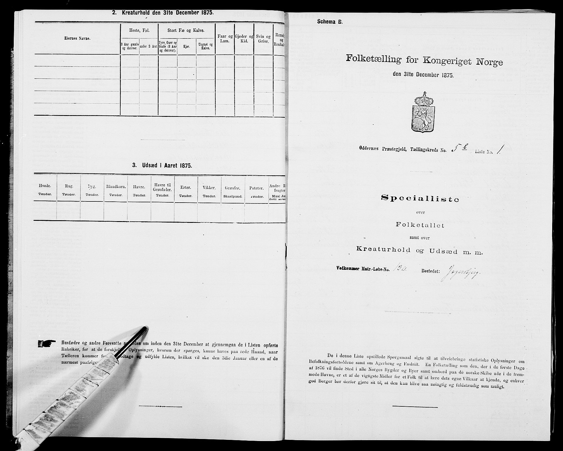 SAK, Folketelling 1875 for 1012P Oddernes prestegjeld, 1875, s. 845