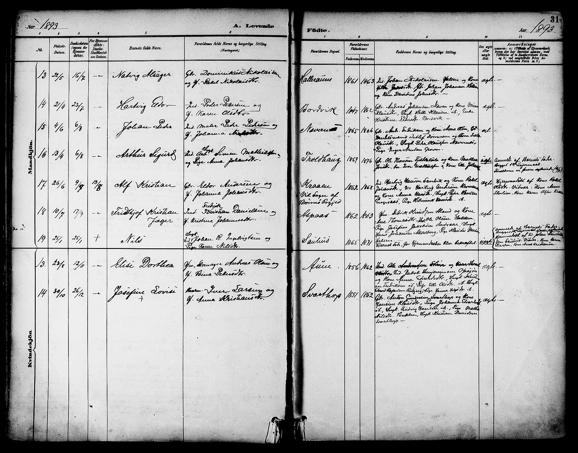 Ministerialprotokoller, klokkerbøker og fødselsregistre - Nordland, AV/SAT-A-1459/814/L0226: Ministerialbok nr. 814A07, 1886-1898, s. 31