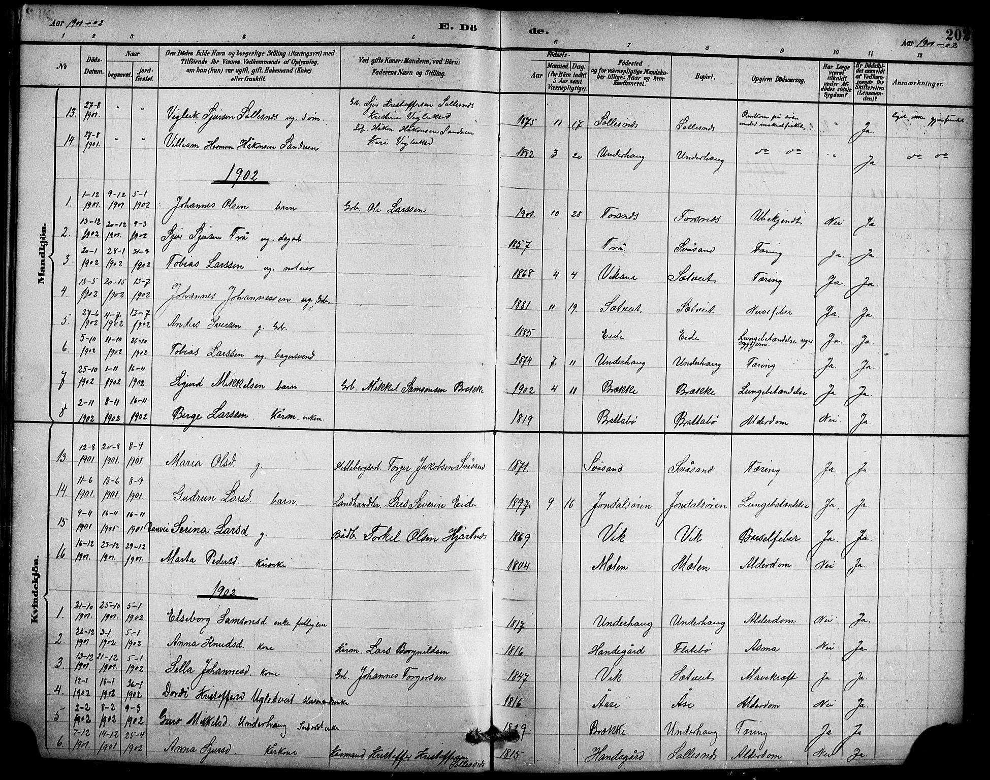 Ullensvang sokneprestembete, AV/SAB-A-78701/H/Hab: Klokkerbok nr. D 1, 1891-1908, s. 202