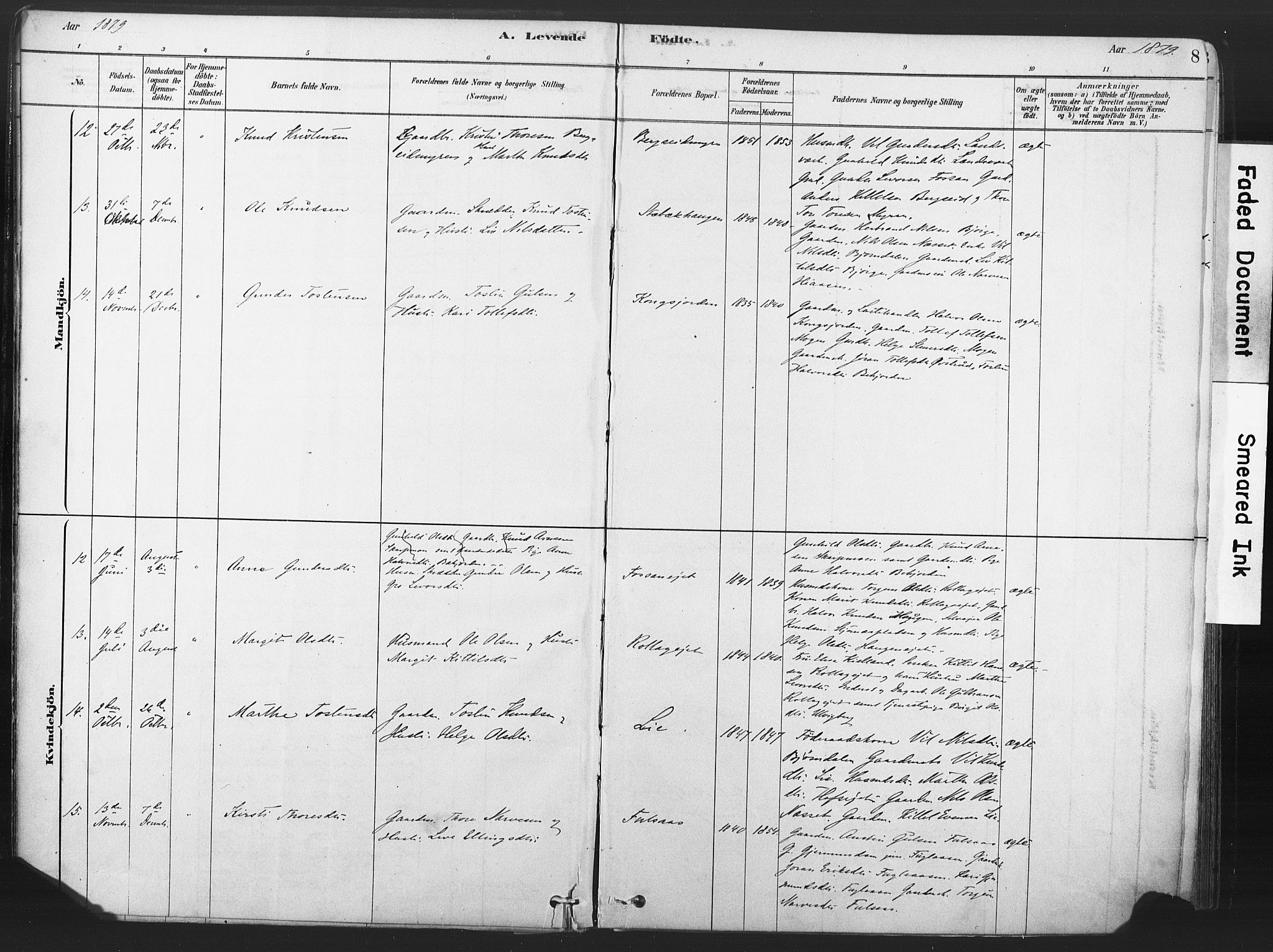 Rollag kirkebøker, AV/SAKO-A-240/F/Fa/L0011: Ministerialbok nr. I 11, 1878-1902, s. 8