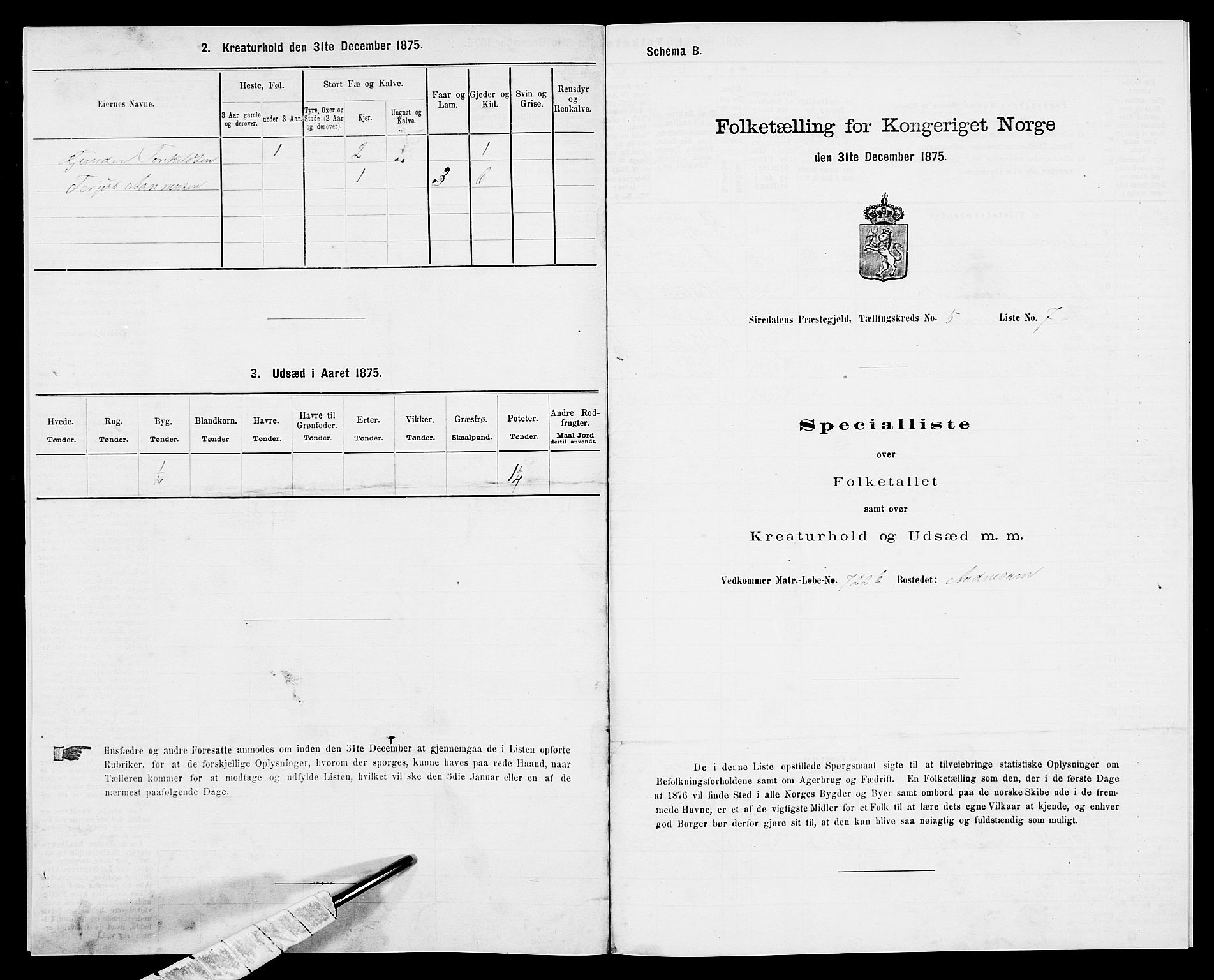 SAK, Folketelling 1875 for 1046P Sirdal prestegjeld, 1875, s. 419