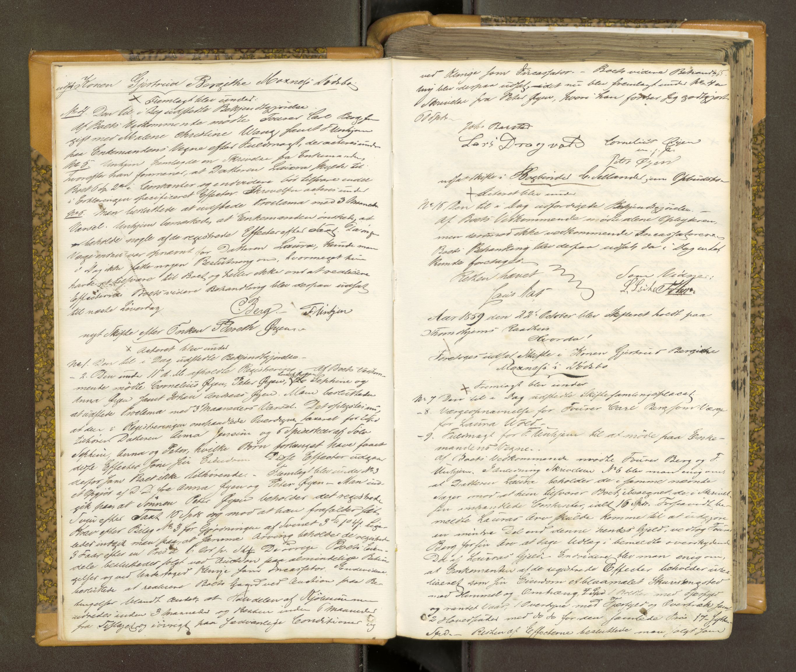 Trondheim byfogd, AV/SAT-A-0003/1/3/3B/L0006: Skiftebehandlingsprotokoll (u/ register)gml.nr.29b. U, 1859-1863, s. 365
