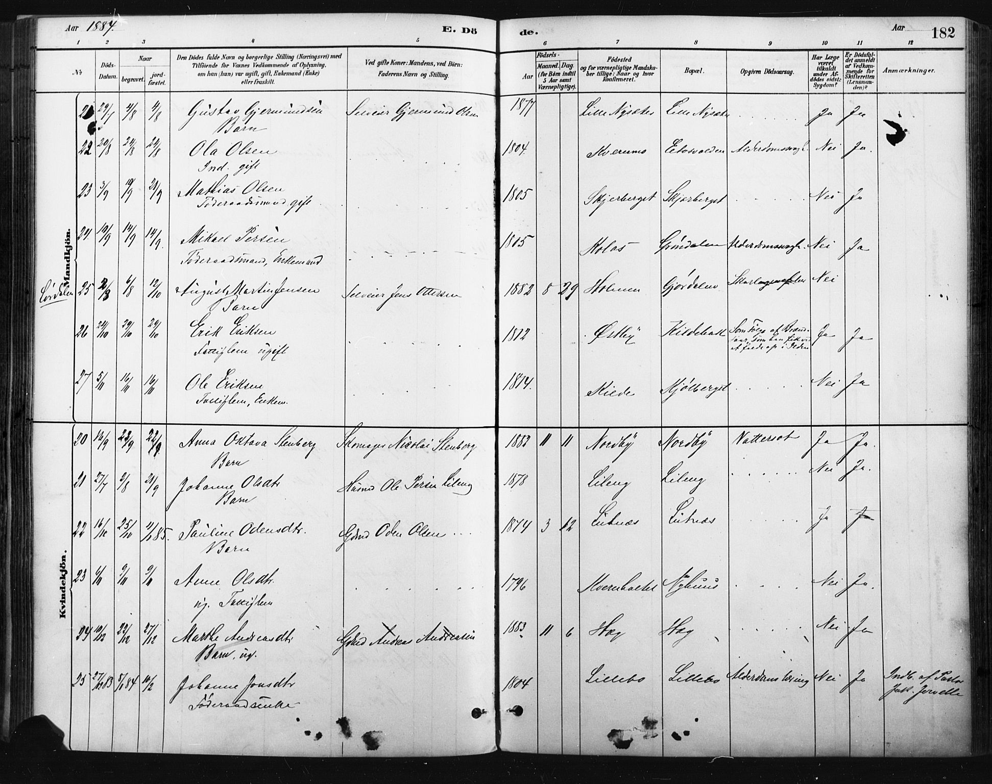 Trysil prestekontor, AV/SAH-PREST-046/H/Ha/Haa/L0009: Ministerialbok nr. 9, 1881-1897, s. 182