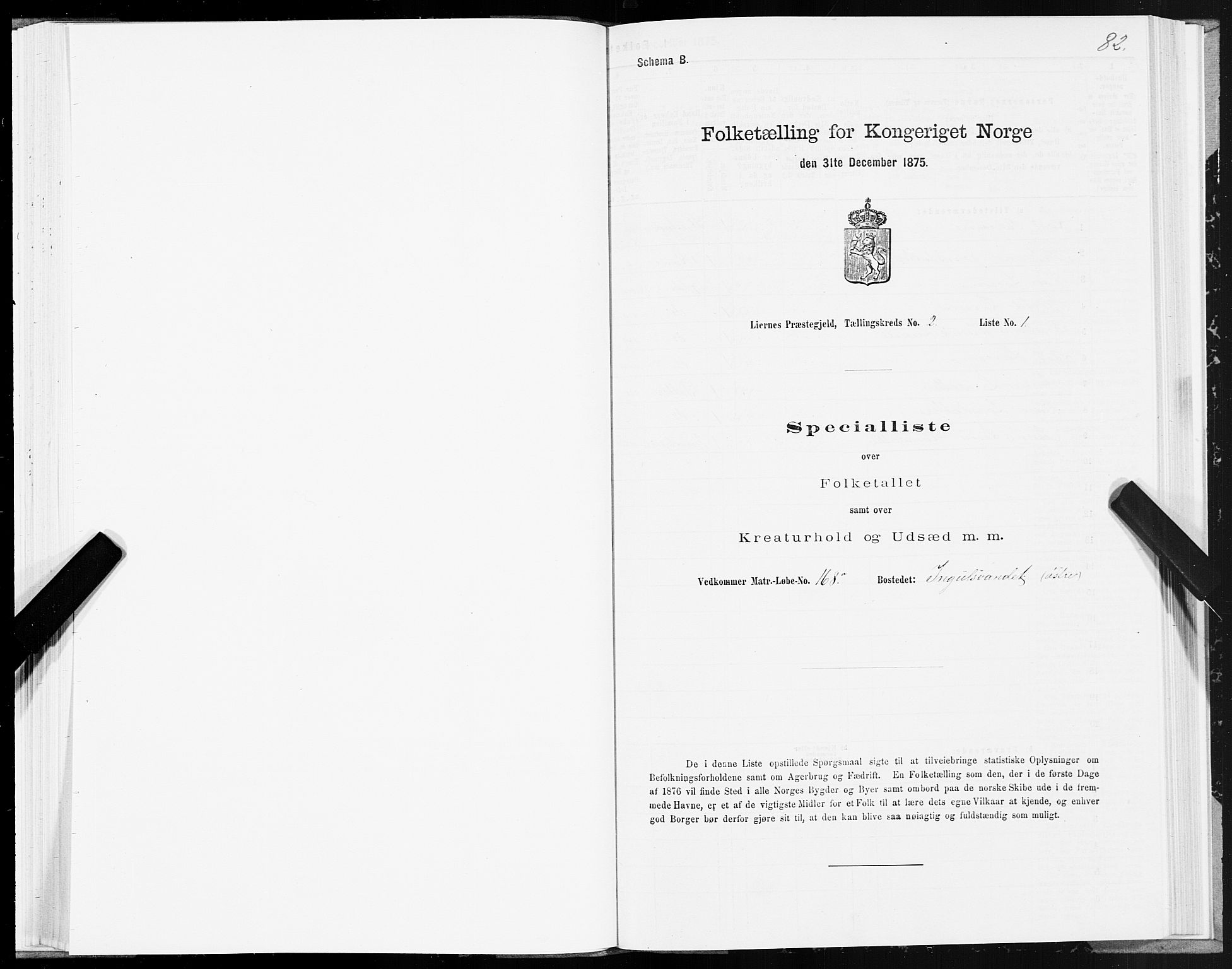 SAT, Folketelling 1875 for 1737P Lierne prestegjeld, 1875, s. 1082