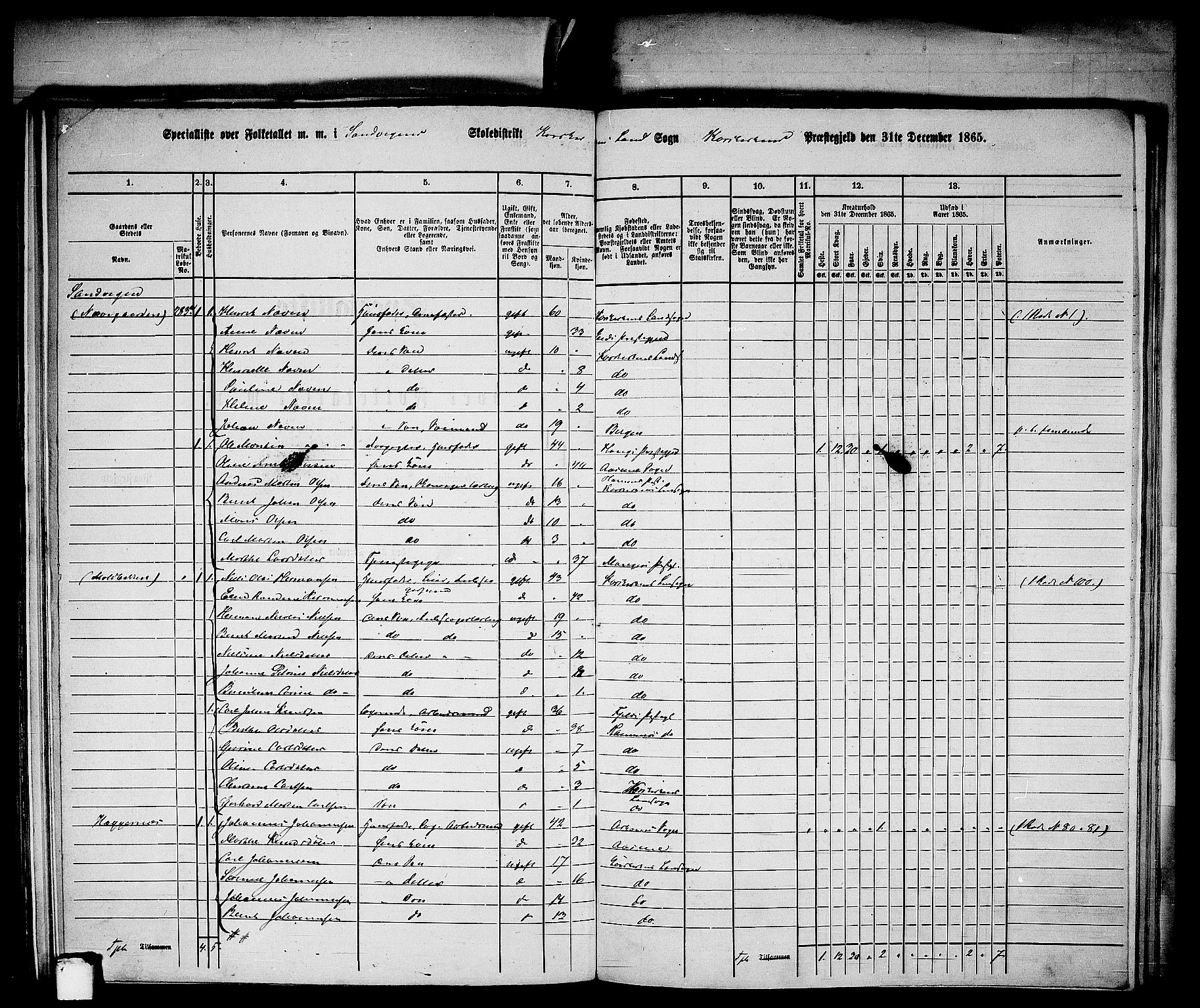 RA, Folketelling 1865 for 1281L Bergen Landdistrikt, Domkirkens landsokn og Korskirkens landsokn, 1865, s. 318