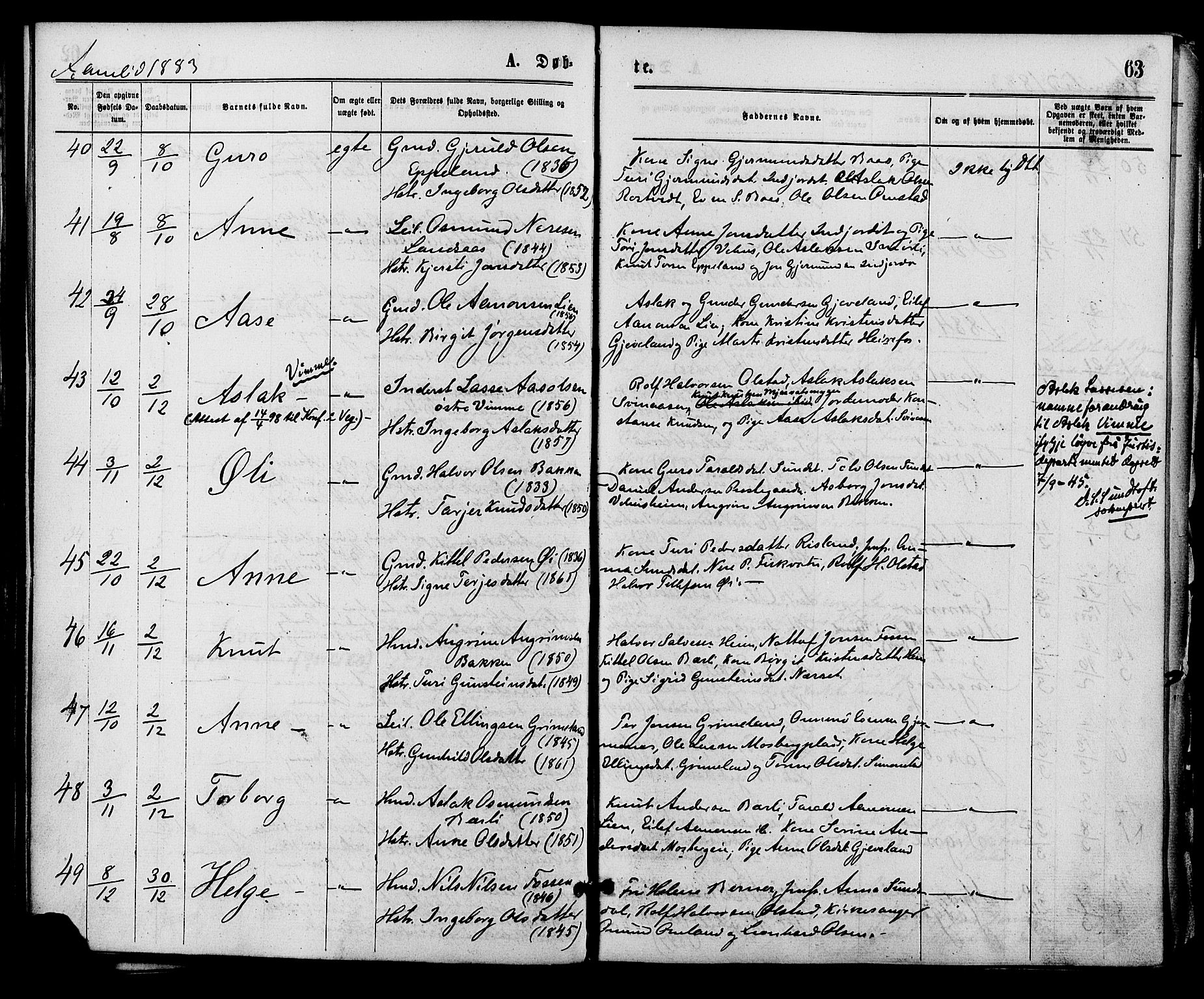 Åmli sokneprestkontor, AV/SAK-1111-0050/F/Fa/Fac/L0009: Ministerialbok nr. A 9 /1, 1869-1884, s. 63