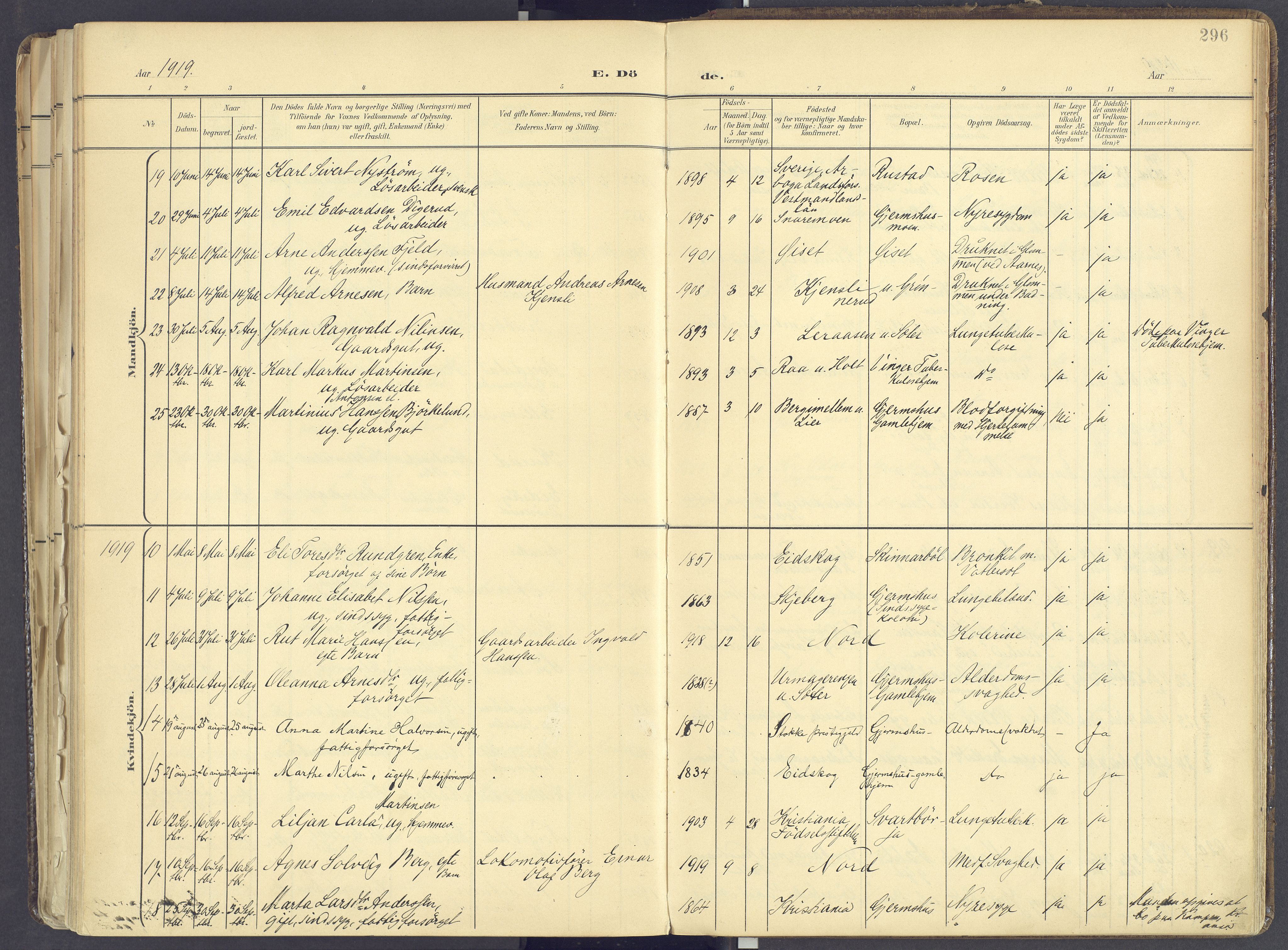 Vinger prestekontor, SAH/PREST-024/H/Ha/Haa/L0017: Ministerialbok nr. 17, 1901-1927, s. 296