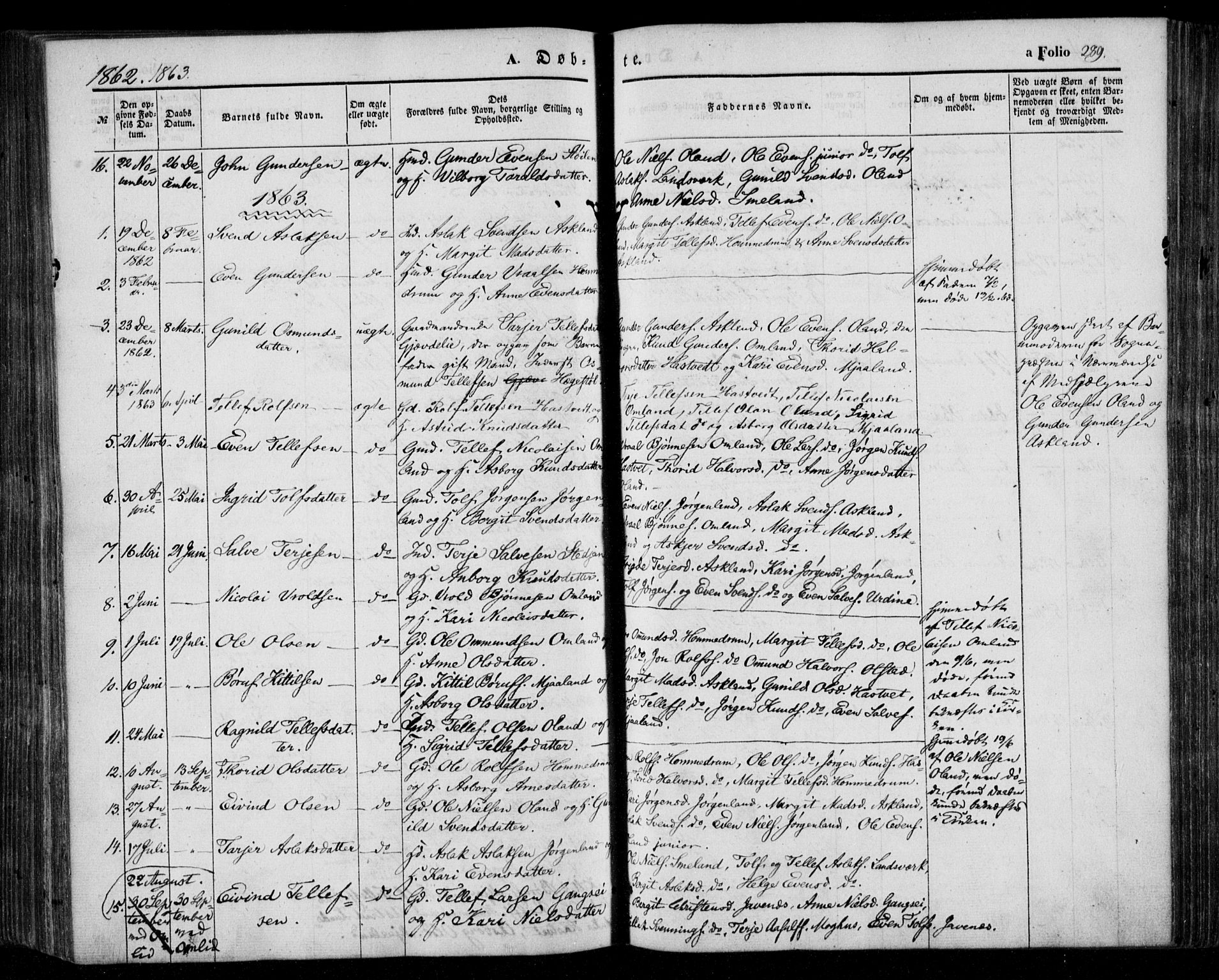 Åmli sokneprestkontor, AV/SAK-1111-0050/F/Fa/Fac/L0008: Ministerialbok nr. A 8, 1852-1869, s. 289