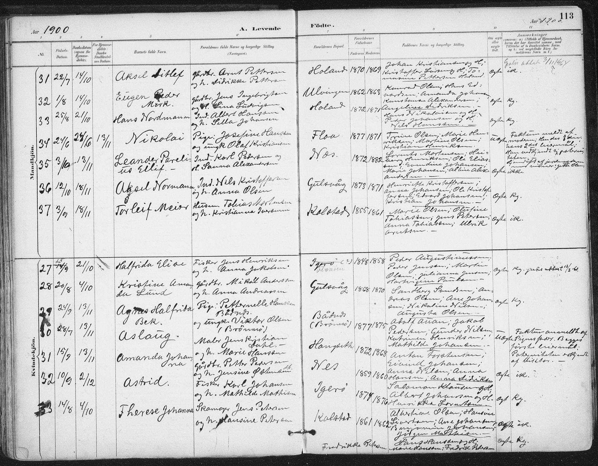 Ministerialprotokoller, klokkerbøker og fødselsregistre - Nordland, AV/SAT-A-1459/816/L0244: Ministerialbok nr. 816A10, 1886-1903, s. 113