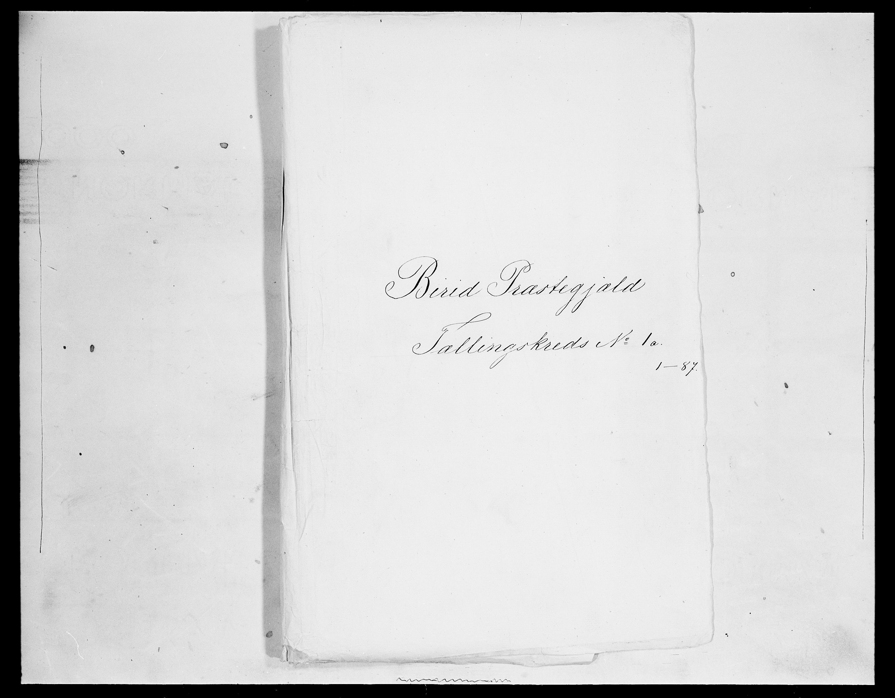SAH, Folketelling 1875 for 0525P Biri prestegjeld, 1875, s. 113