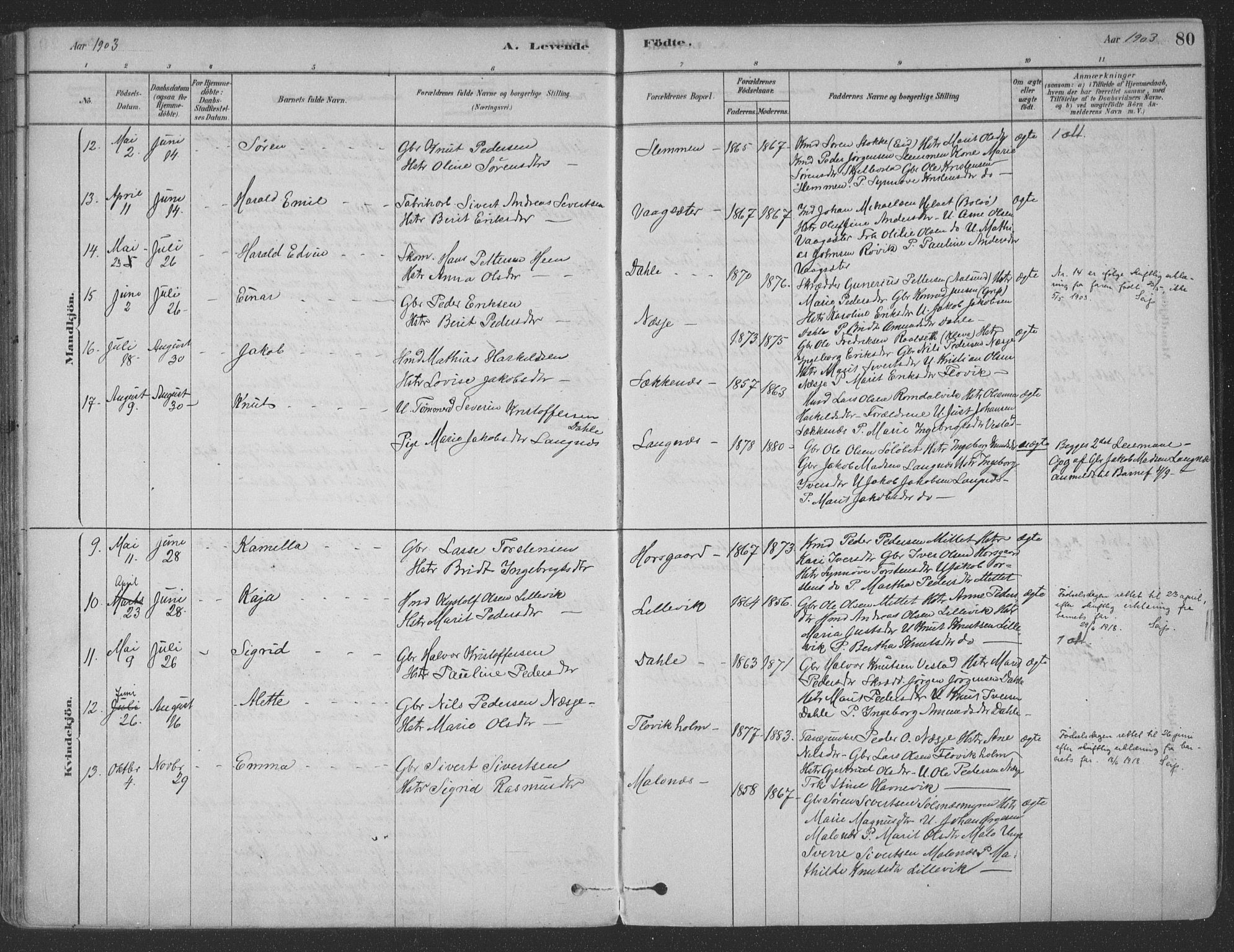 Ministerialprotokoller, klokkerbøker og fødselsregistre - Møre og Romsdal, SAT/A-1454/547/L0604: Ministerialbok nr. 547A06, 1878-1906, s. 80