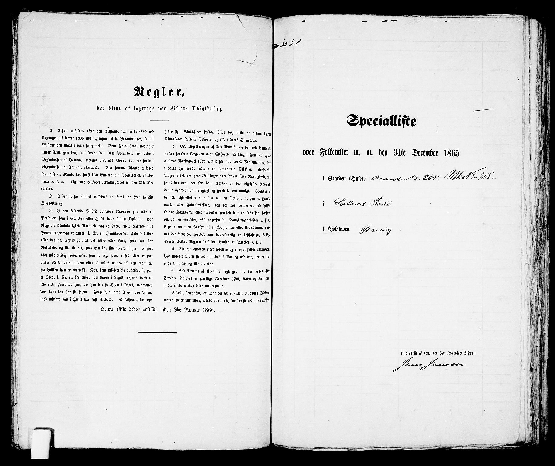 RA, Folketelling 1865 for 0804P Brevik prestegjeld, 1865, s. 250