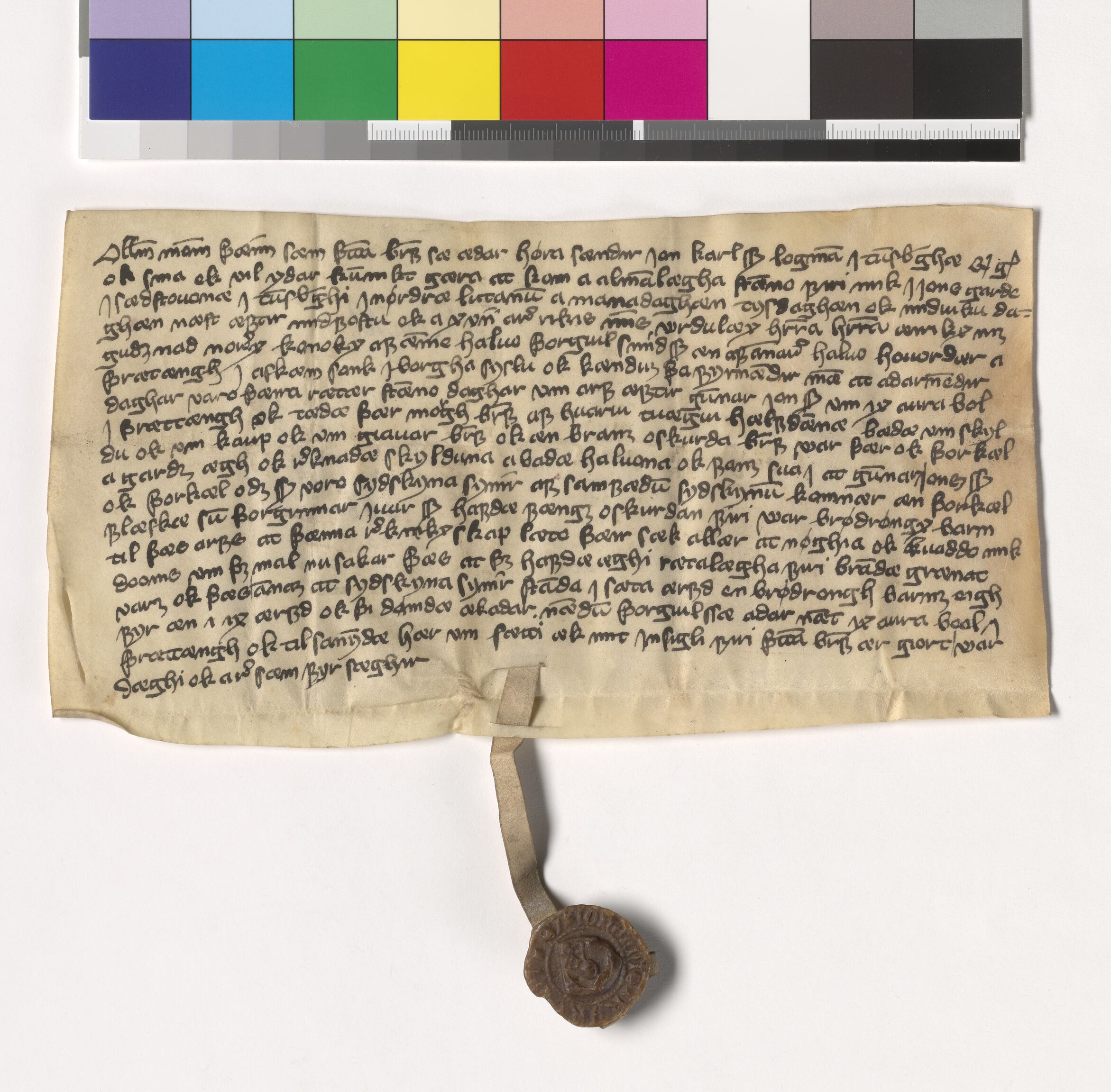 Riksarkivets diplomsamling, AV/RA-EA-5965/F05/L0203: NRA AM fasc. 83 nr. 6-15, 1405-1407, s. 5