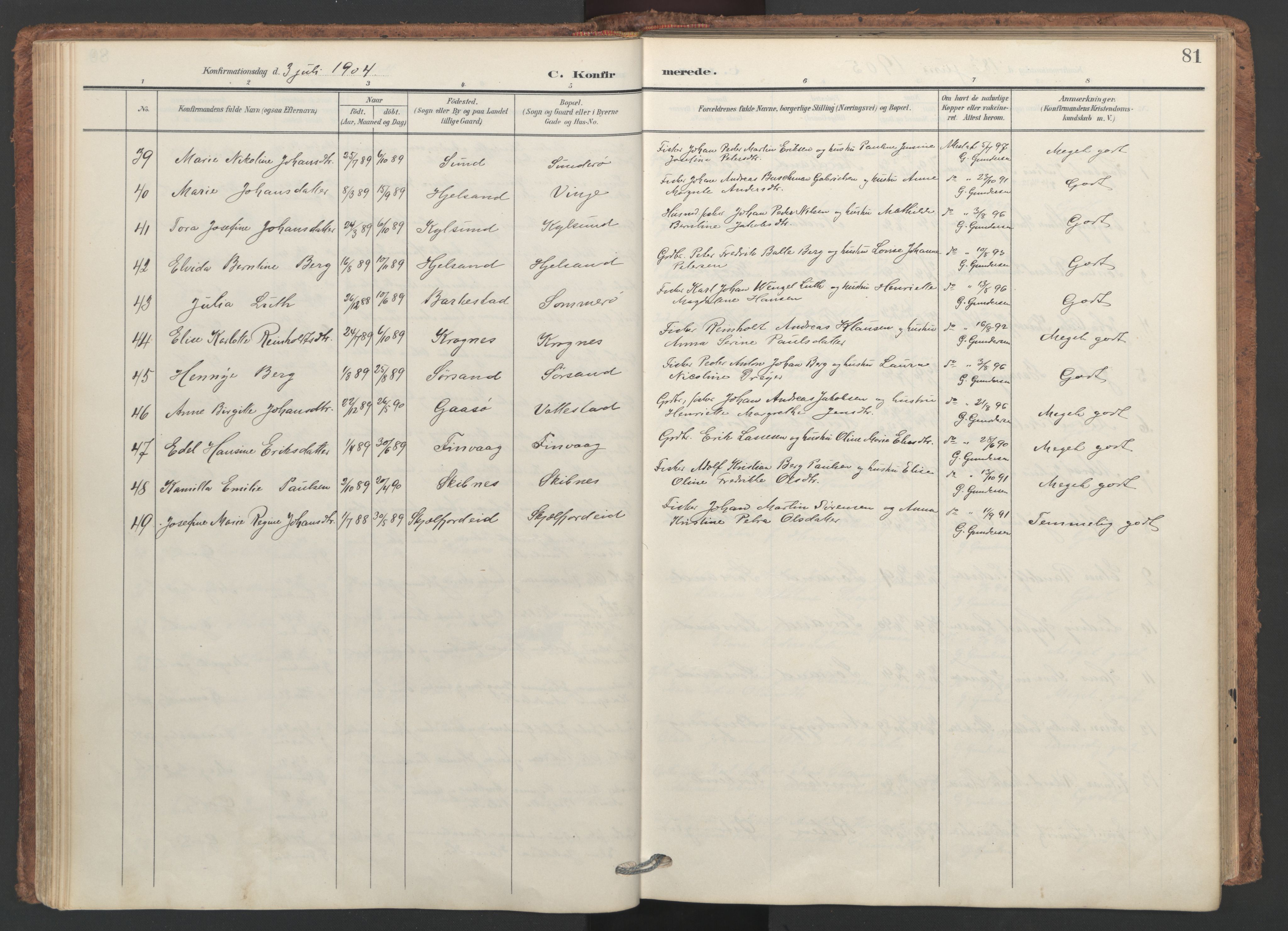 Ministerialprotokoller, klokkerbøker og fødselsregistre - Nordland, AV/SAT-A-1459/893/L1339: Ministerialbok nr. 893A11, 1904-1914, s. 81