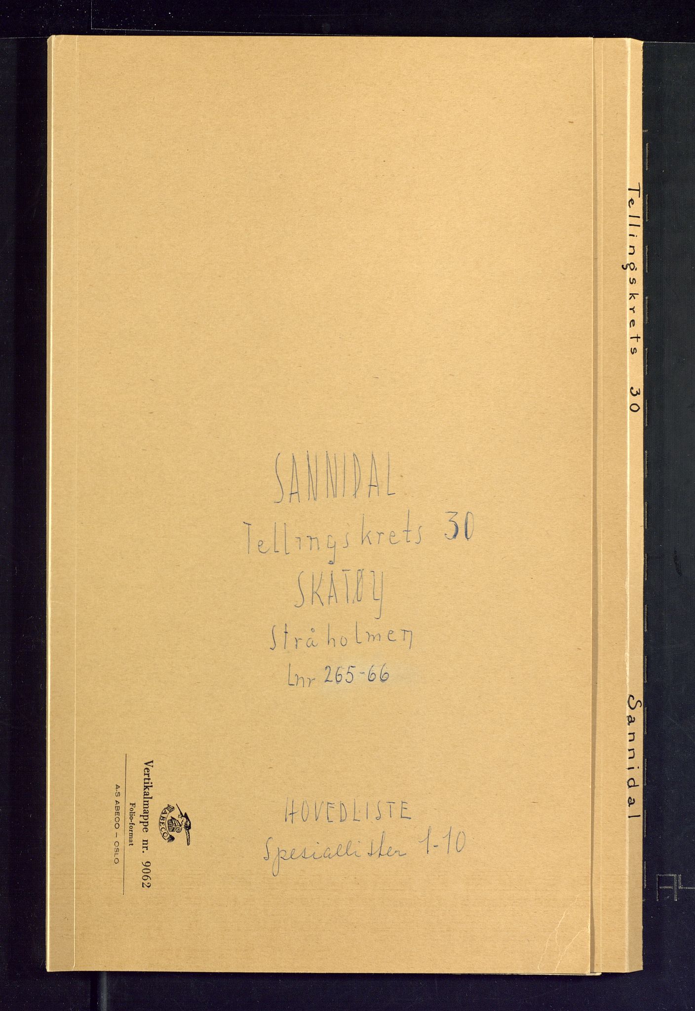 SAKO, Folketelling 1875 for 0816P Sannidal prestegjeld, 1875, s. 119