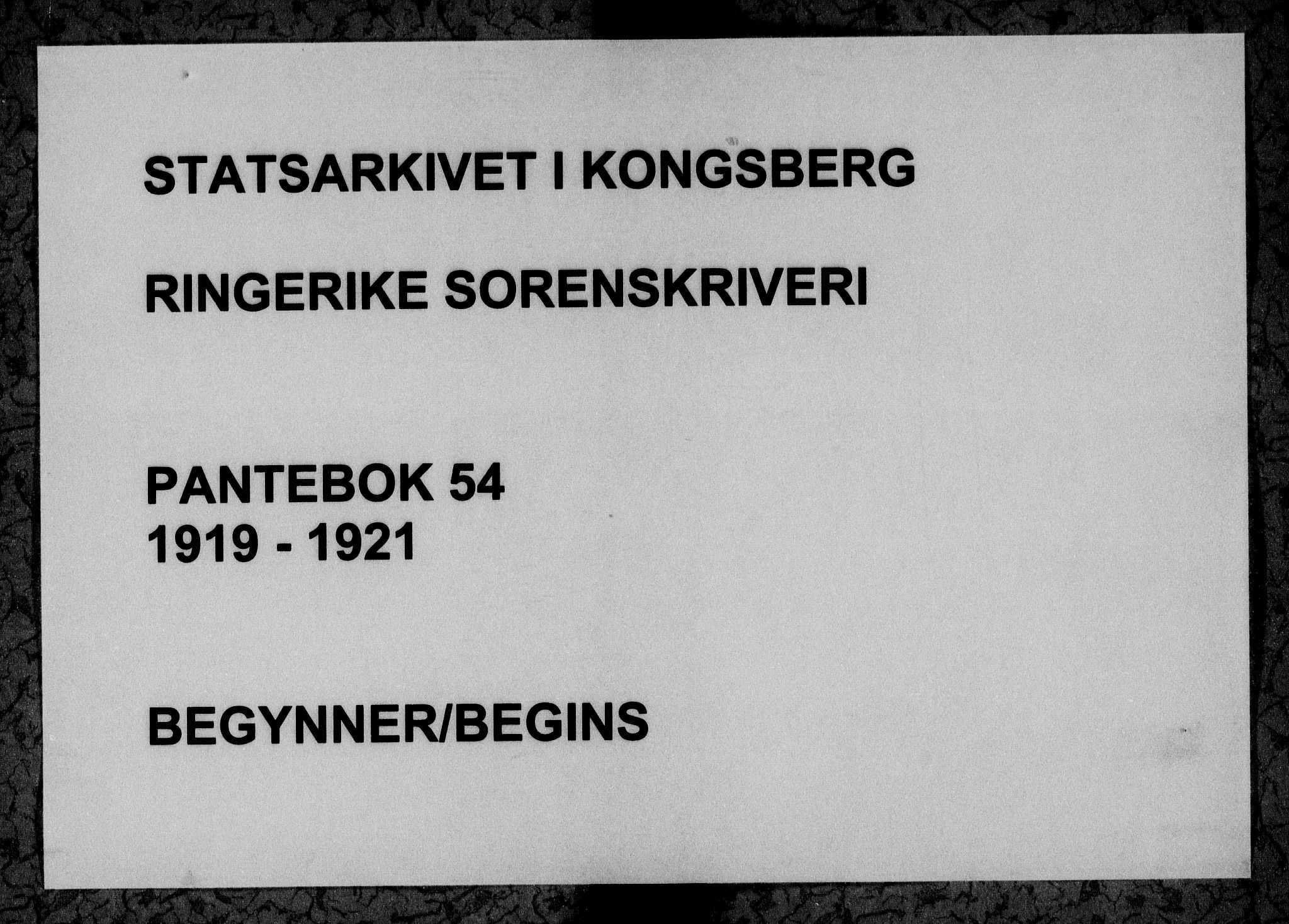 Ringerike sorenskriveri, SAKO/A-105/G/Ga/Gaa/L0054: Pantebok nr. 54, 1919-1921