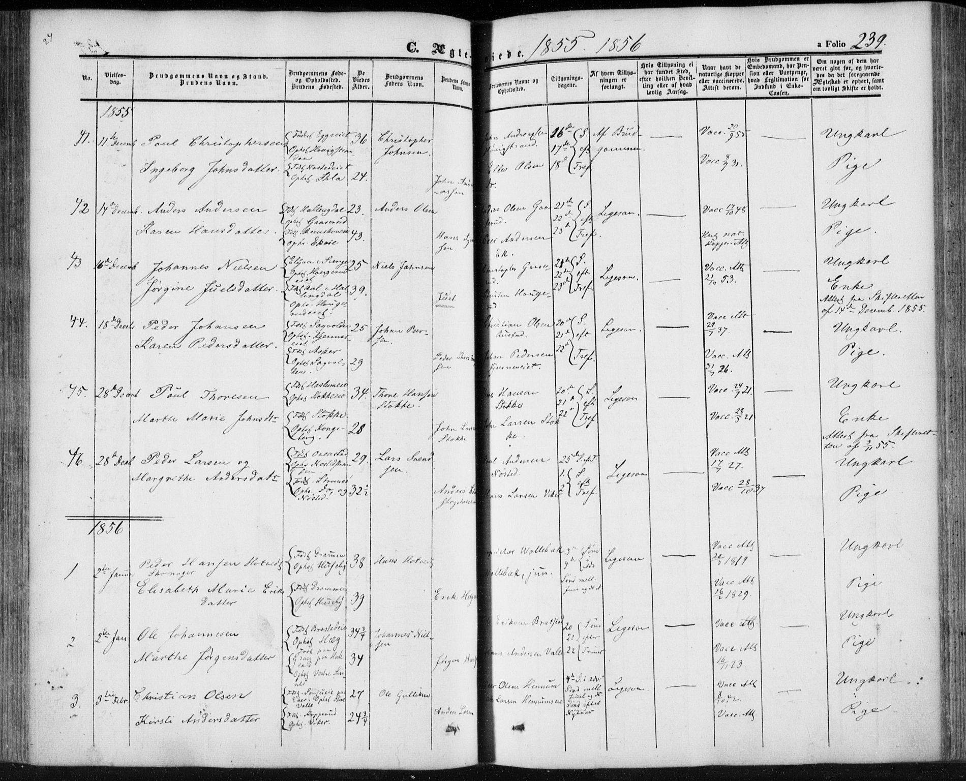 Lier kirkebøker, AV/SAKO-A-230/F/Fa/L0012: Ministerialbok nr. I 12, 1854-1864, s. 239