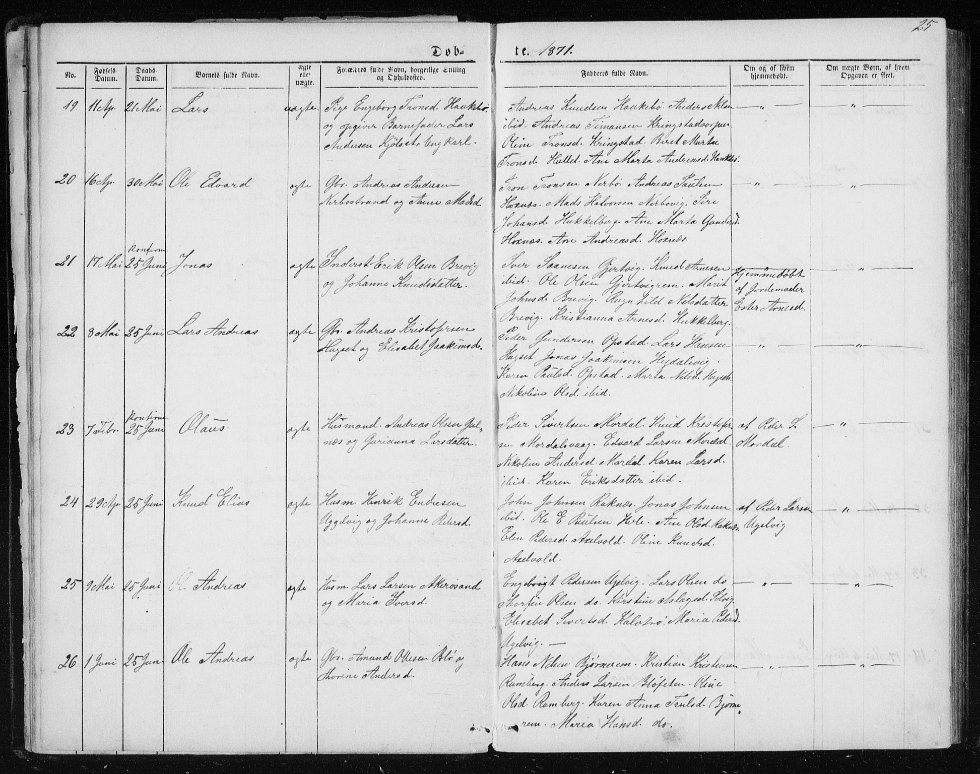 Ministerialprotokoller, klokkerbøker og fødselsregistre - Møre og Romsdal, AV/SAT-A-1454/560/L0724: Klokkerbok nr. 560C01, 1867-1892, s. 25