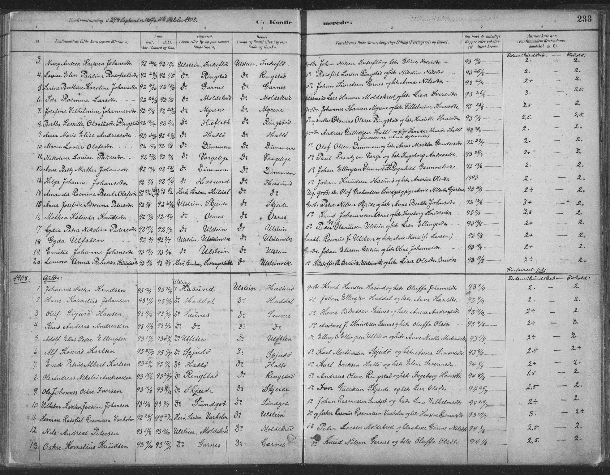 Ministerialprotokoller, klokkerbøker og fødselsregistre - Møre og Romsdal, SAT/A-1454/509/L0106: Ministerialbok nr. 509A04, 1883-1922, s. 233