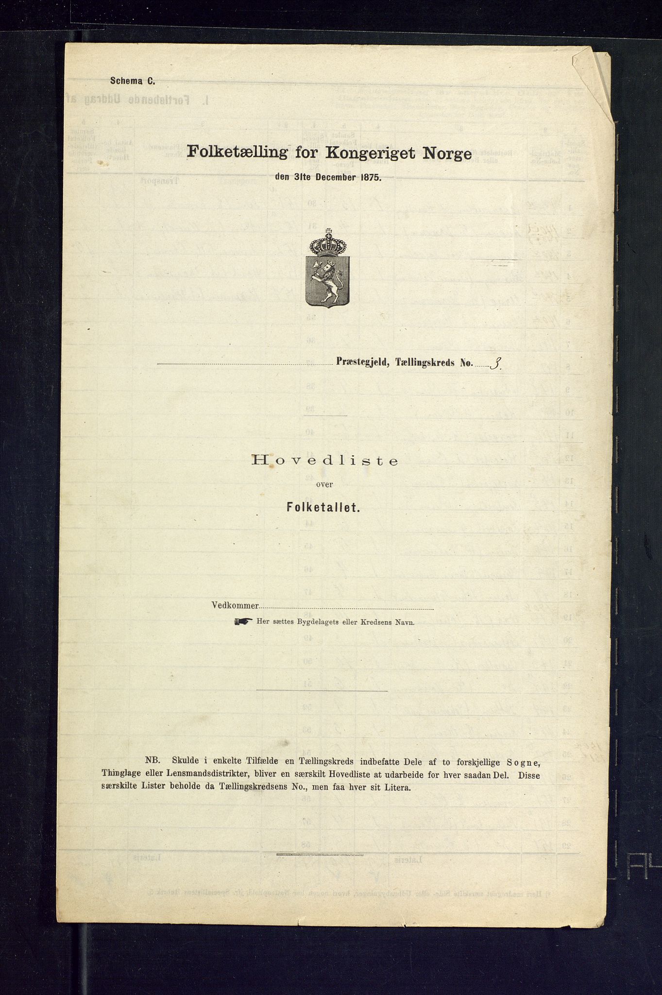 SAKO, Folketelling 1875 for 0835P Rauland prestegjeld, 1875, s. 10