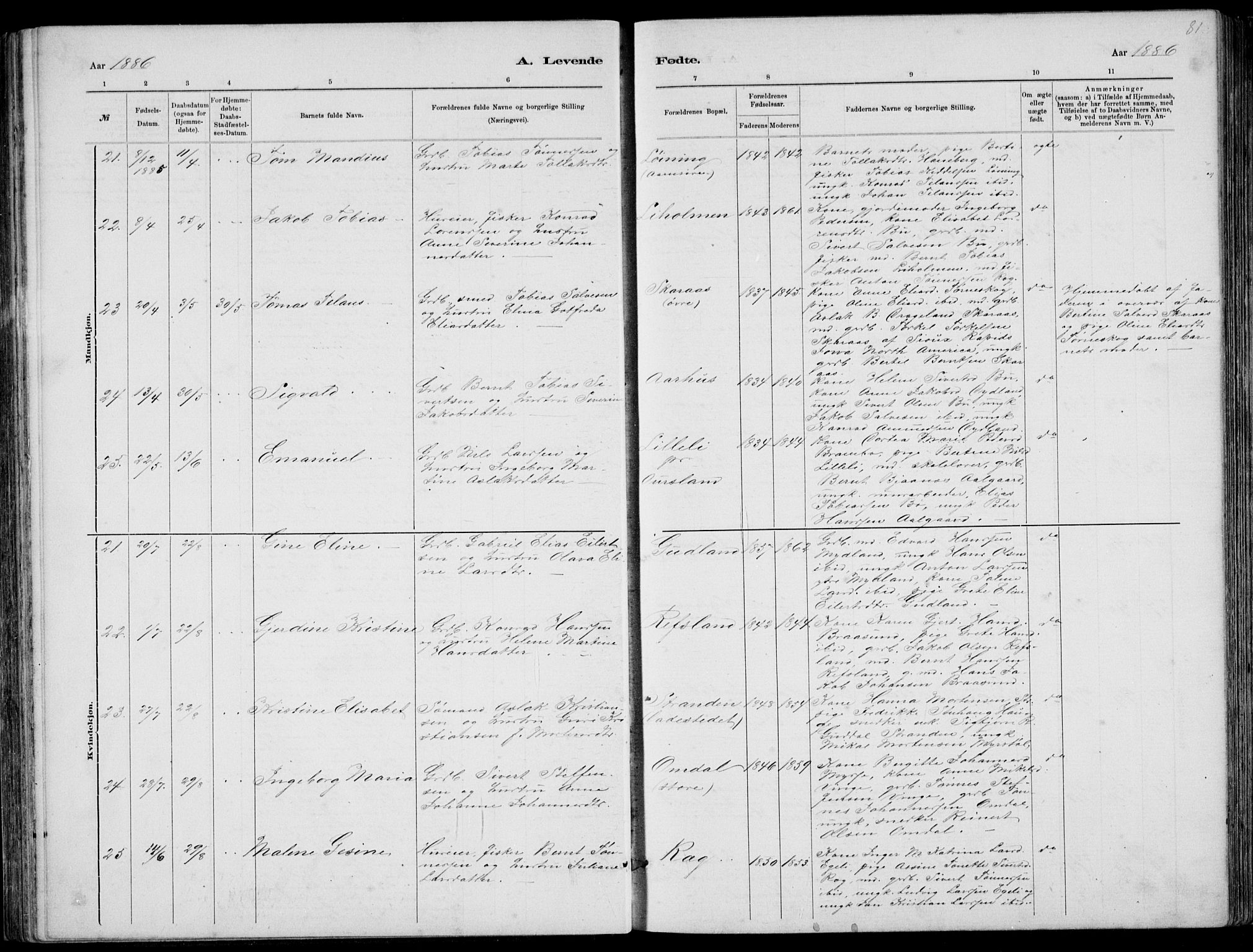 Sokndal sokneprestkontor, AV/SAST-A-101808: Klokkerbok nr. B 4, 1880-1891, s. 81