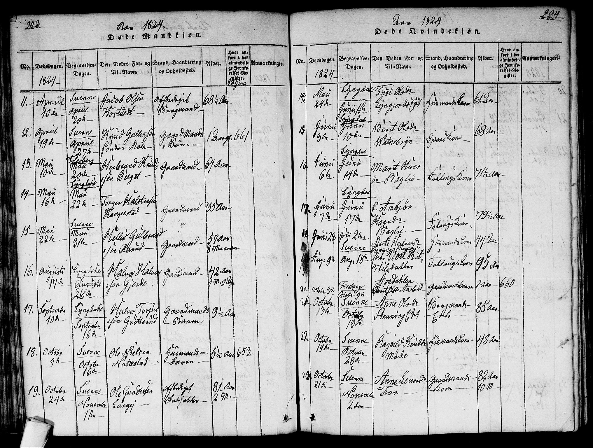 Flesberg kirkebøker, AV/SAKO-A-18/G/Ga/L0001: Klokkerbok nr. I 1, 1816-1834, s. 223-224