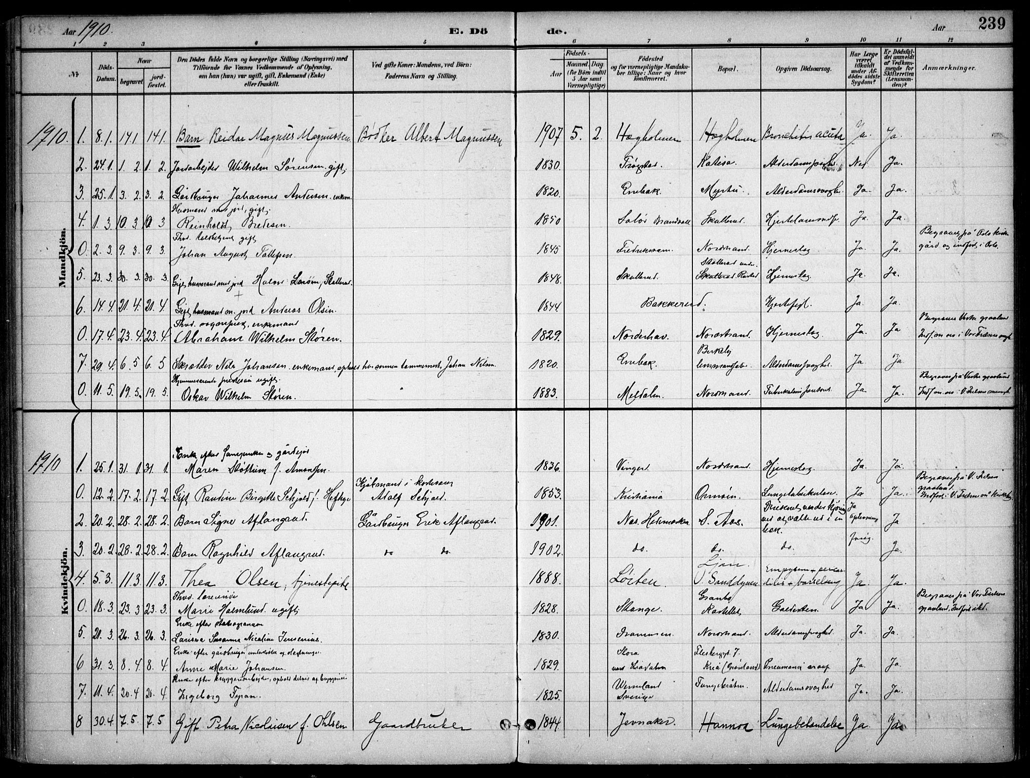 Nordstrand prestekontor Kirkebøker, AV/SAO-A-10362a/F/Fa/L0001: Ministerialbok nr. 1, 1900-1914, s. 239