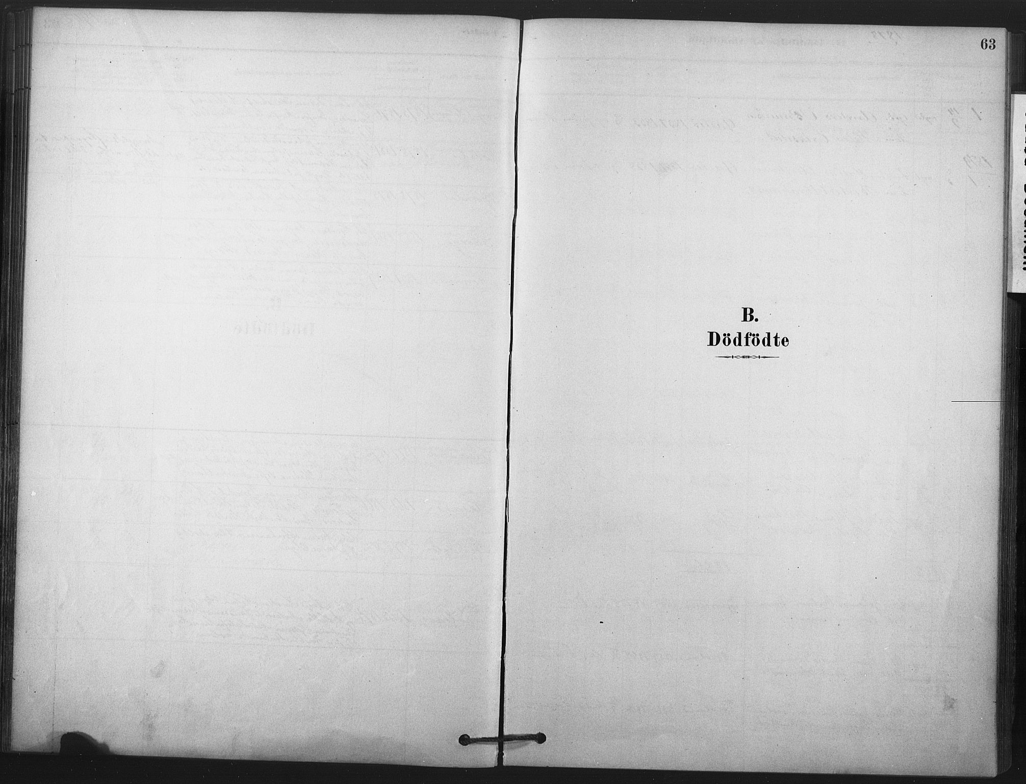 Andebu kirkebøker, SAKO/A-336/F/Fa/L0008: Ministerialbok nr. 8, 1878-1902, s. 63