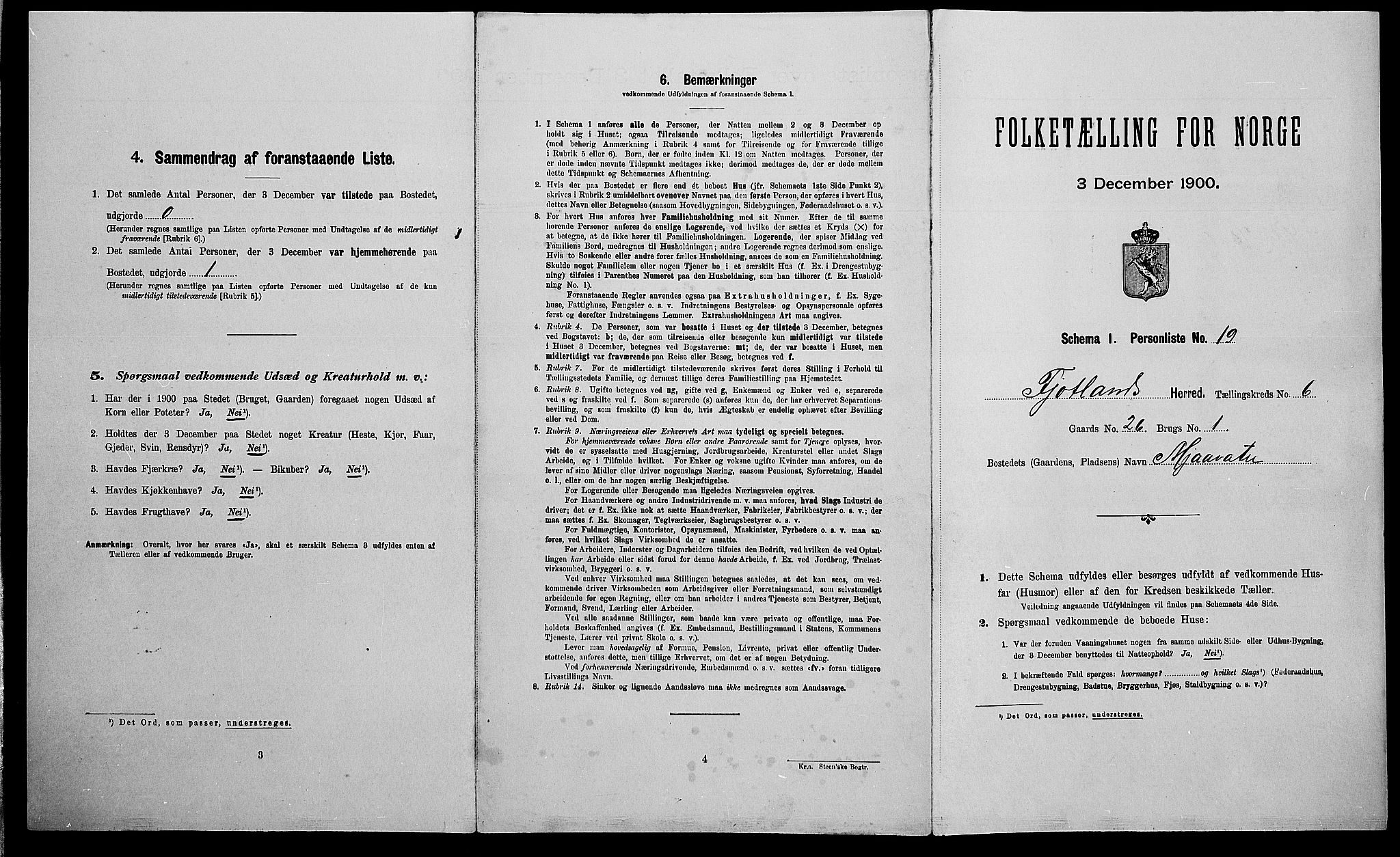 SAK, Folketelling 1900 for 1036 Fjotland herred, 1900, s. 264