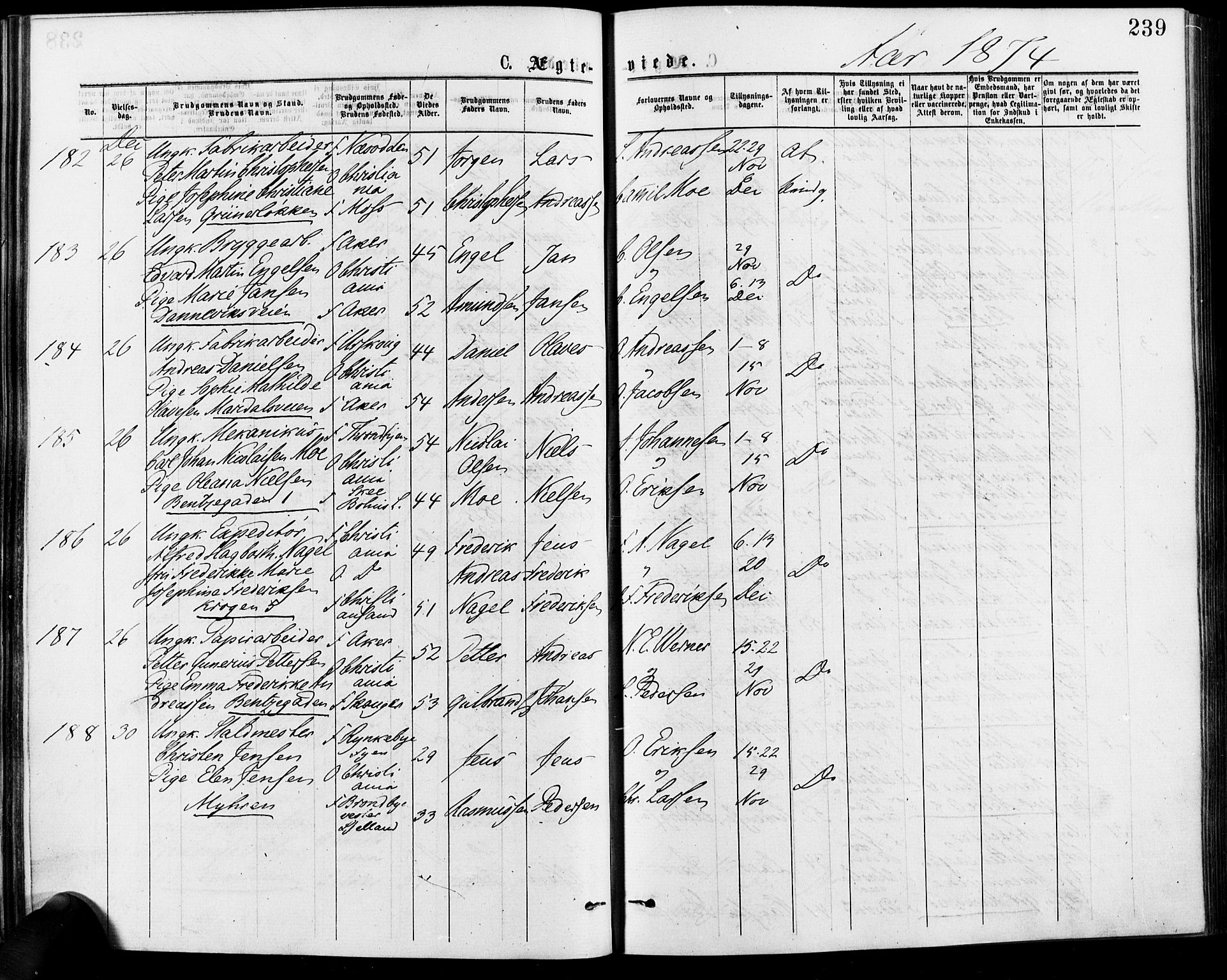 Gamle Aker prestekontor Kirkebøker, AV/SAO-A-10617a/F/L0005: Ministerialbok nr. 5, 1873-1881, s. 239