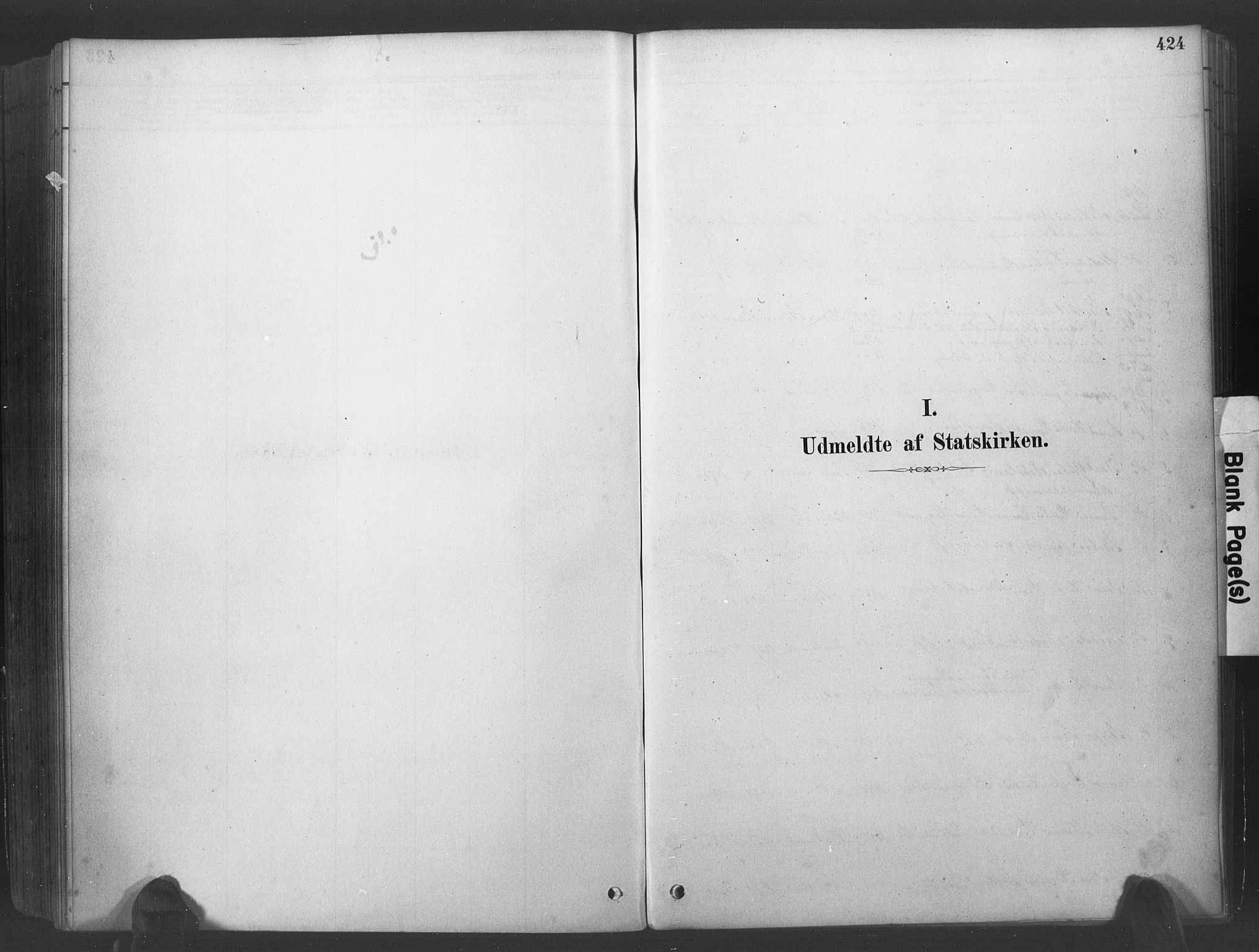 Søgne sokneprestkontor, SAK/1111-0037/F/Fa/Fab/L0012: Ministerialbok nr. A 12, 1880-1891, s. 424