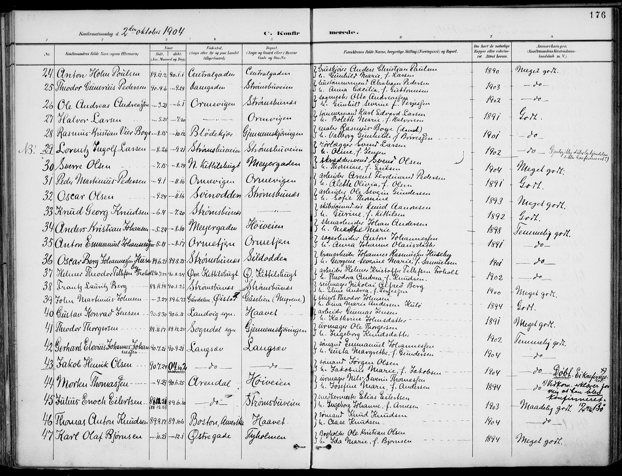 Barbu sokneprestkontor, AV/SAK-1111-0003/F/Fa/L0005: Ministerialbok nr. A 5, 1899-1909, s. 176