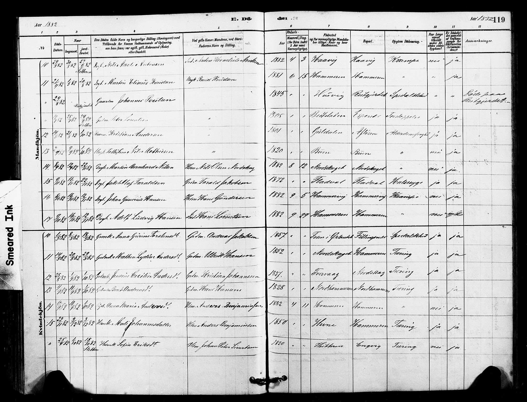 Ministerialprotokoller, klokkerbøker og fødselsregistre - Sør-Trøndelag, AV/SAT-A-1456/641/L0595: Ministerialbok nr. 641A01, 1882-1897, s. 119