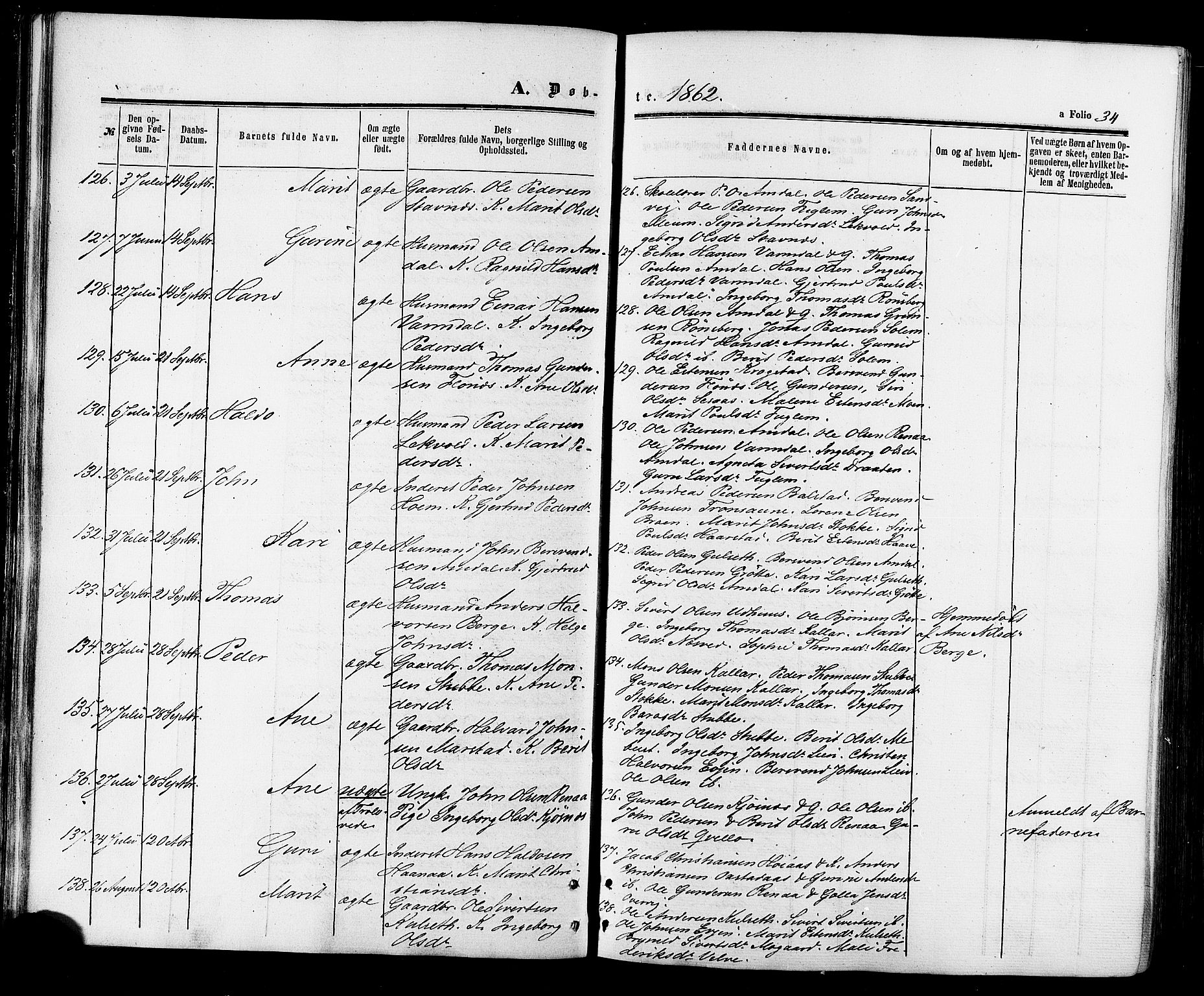 Ministerialprotokoller, klokkerbøker og fødselsregistre - Sør-Trøndelag, AV/SAT-A-1456/695/L1147: Ministerialbok nr. 695A07, 1860-1877, s. 34