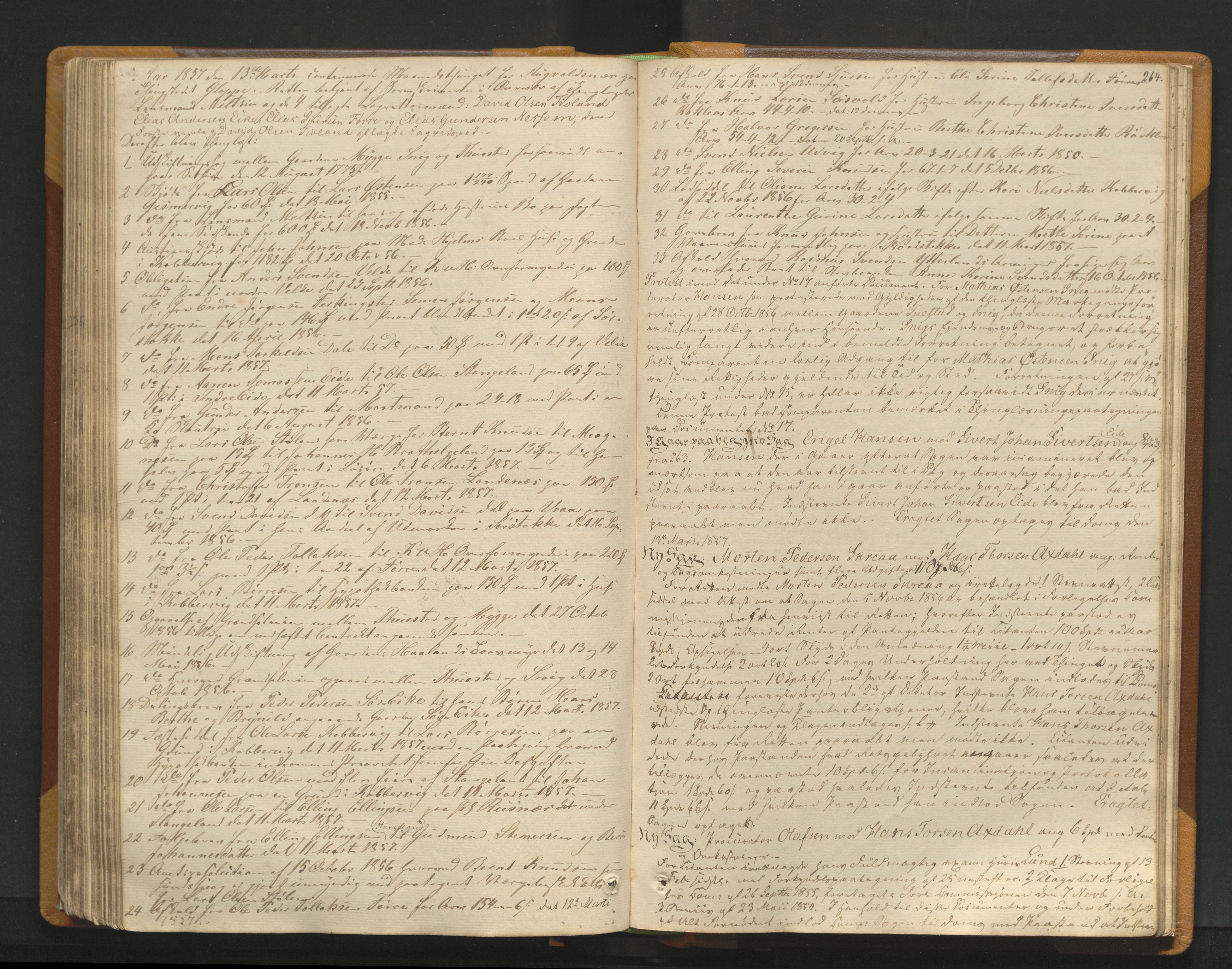 Karmsund sorenskriveri, AV/SAST-A-100311/01/I/IA/IAB/L0005: TINGBOK, 1852-1861, s. 263b-264a